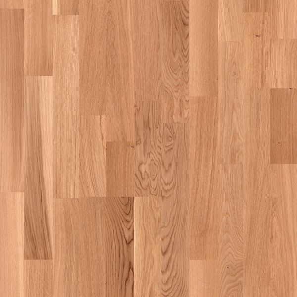 Hrast Standard — lak