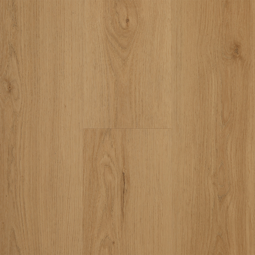 WINSTB-1222/0 SPC 1222 HRAST SORIA 6,0/0,55 MM 33/42 5Gi CLICK