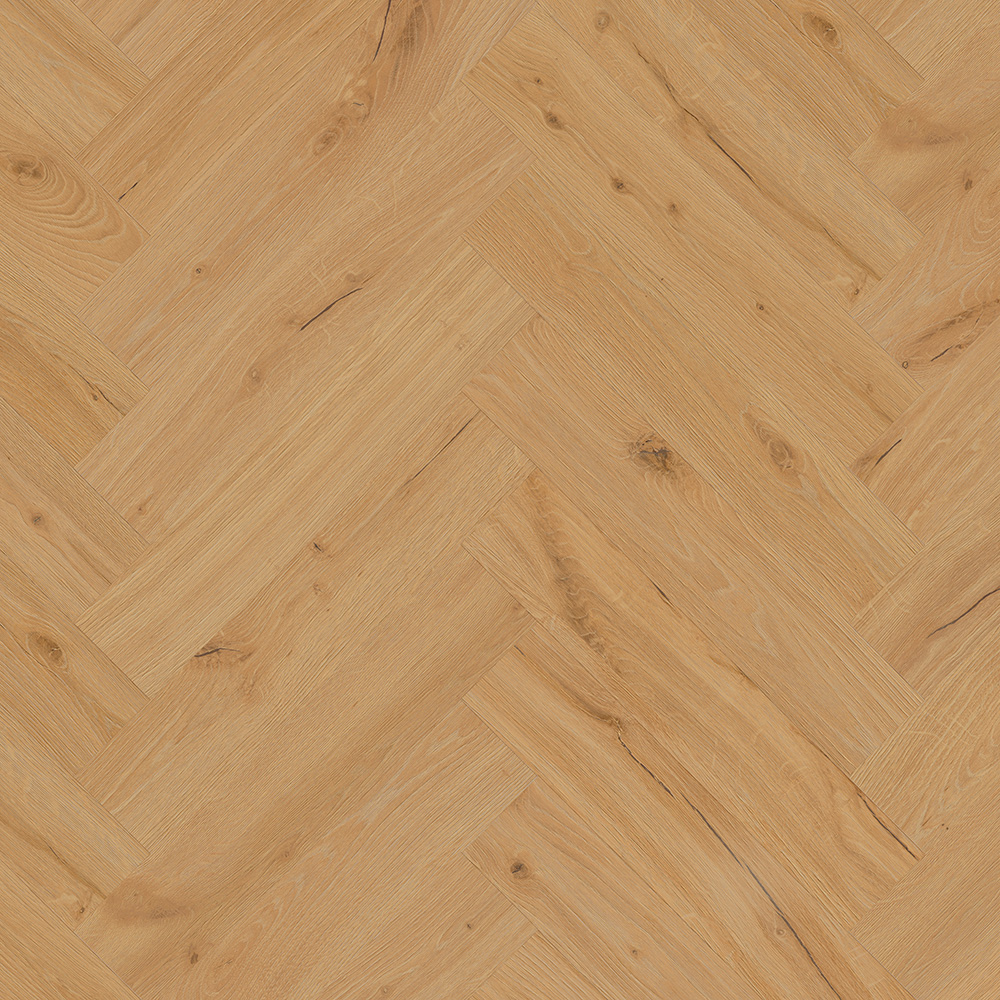 NEXHER-GING/1 SPC HRAST GINGER 5,0/0,5 MM 34 HB i4F
