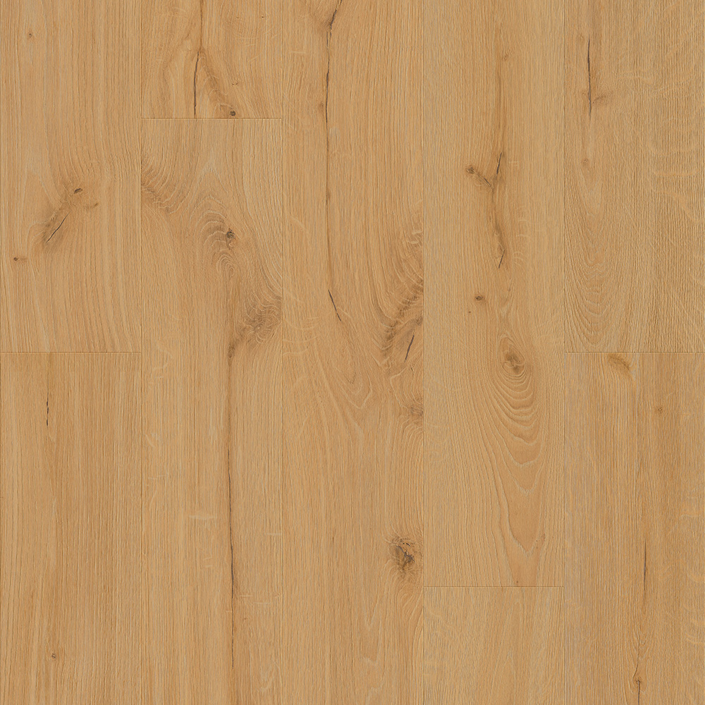 NEXLAR-GING/1 SPC HRAST GINGER 5,0/0,5 MM 34 i4F