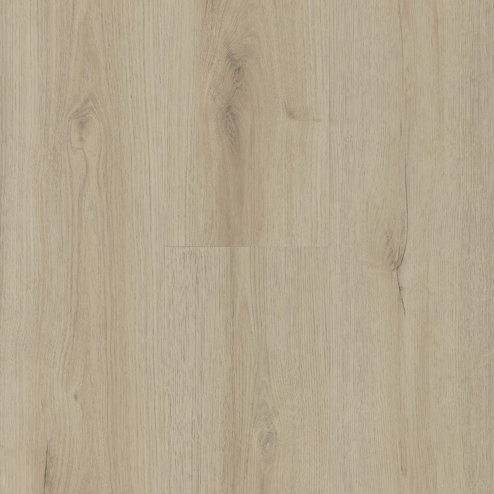 WINLAR-2006/0 LVT 2006 HRAST BELVEDERE 2,5/0,55 MM 33/42