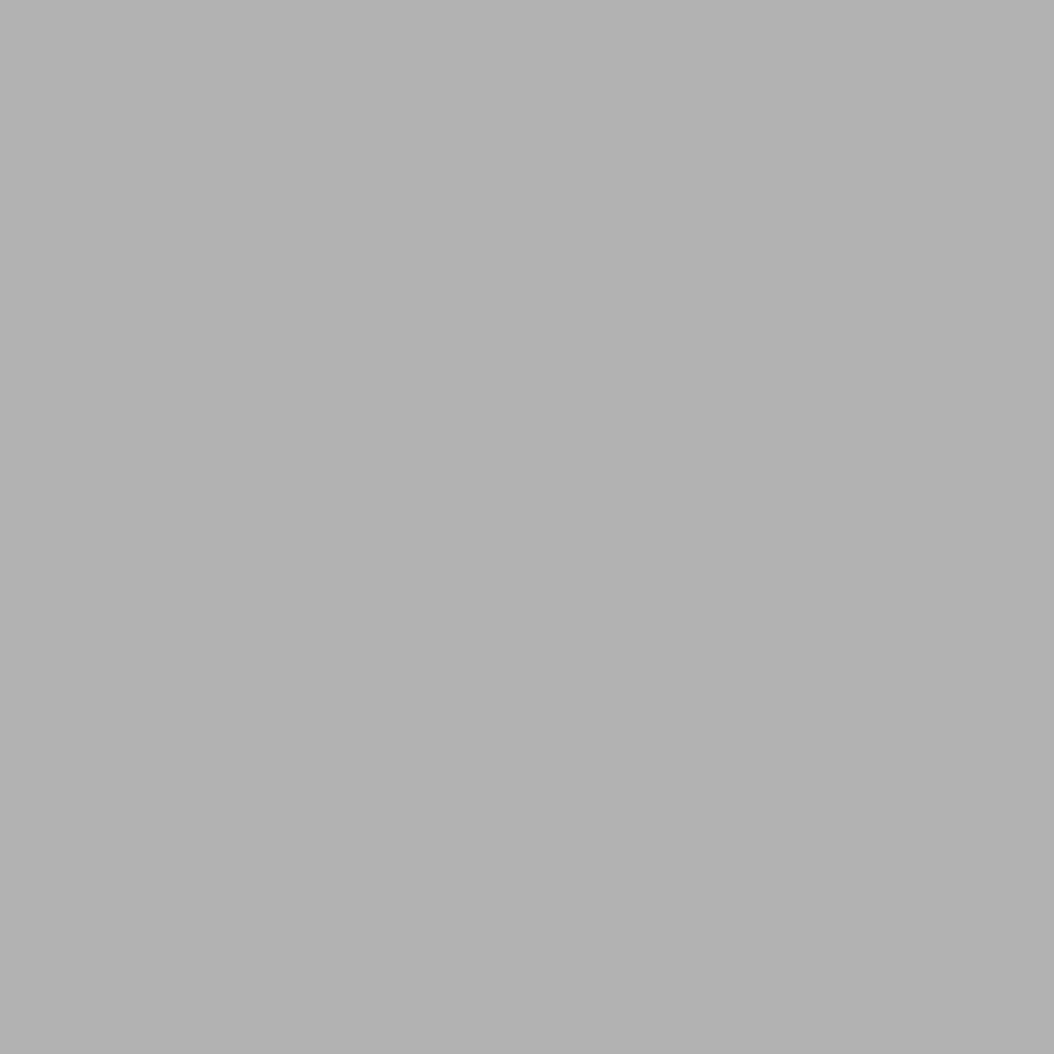 4205 GRIS