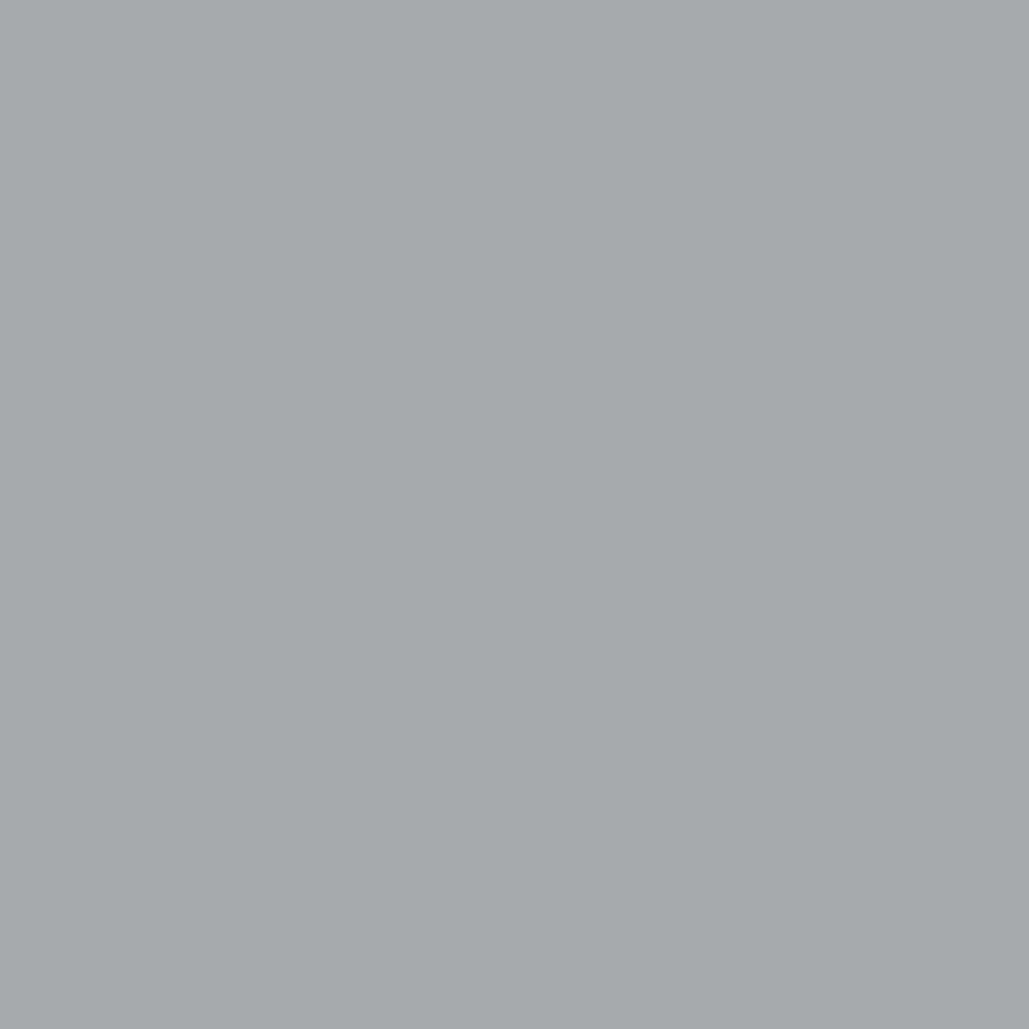 4203 T49/3R - GRIS