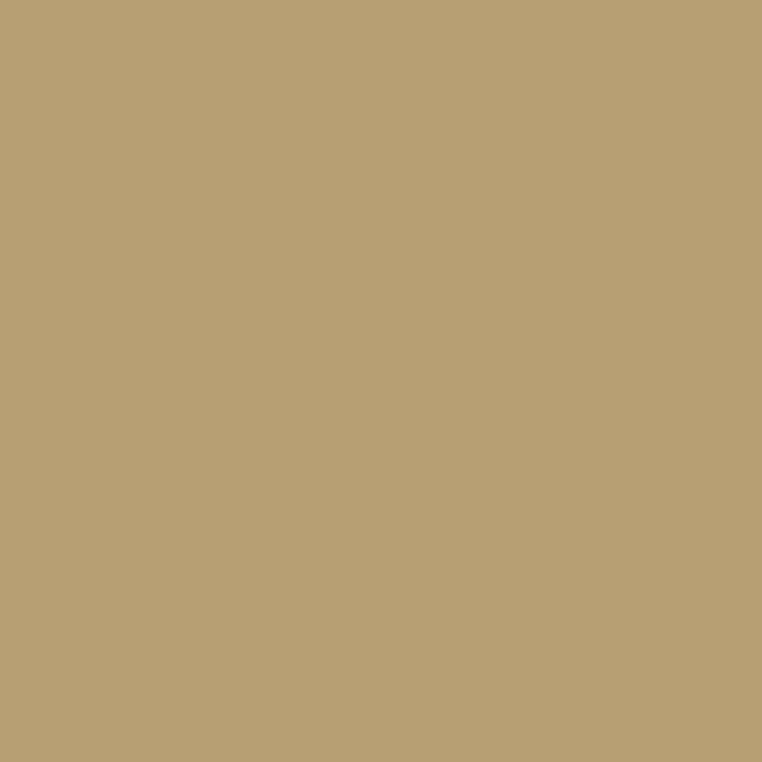 6281 T49/3R - BEIGE