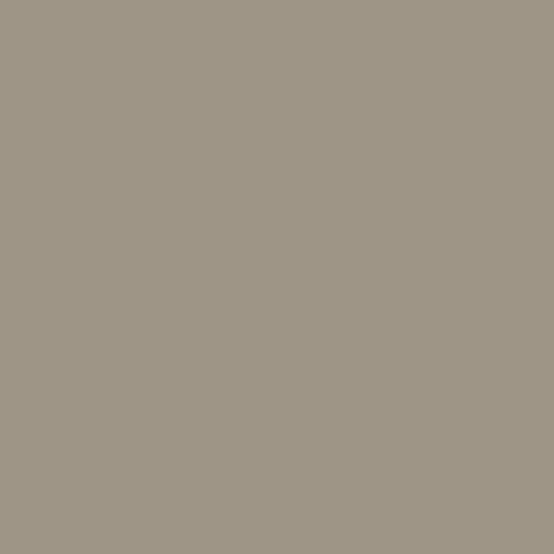 ks100-dark-beige Ks100 Dark Beige