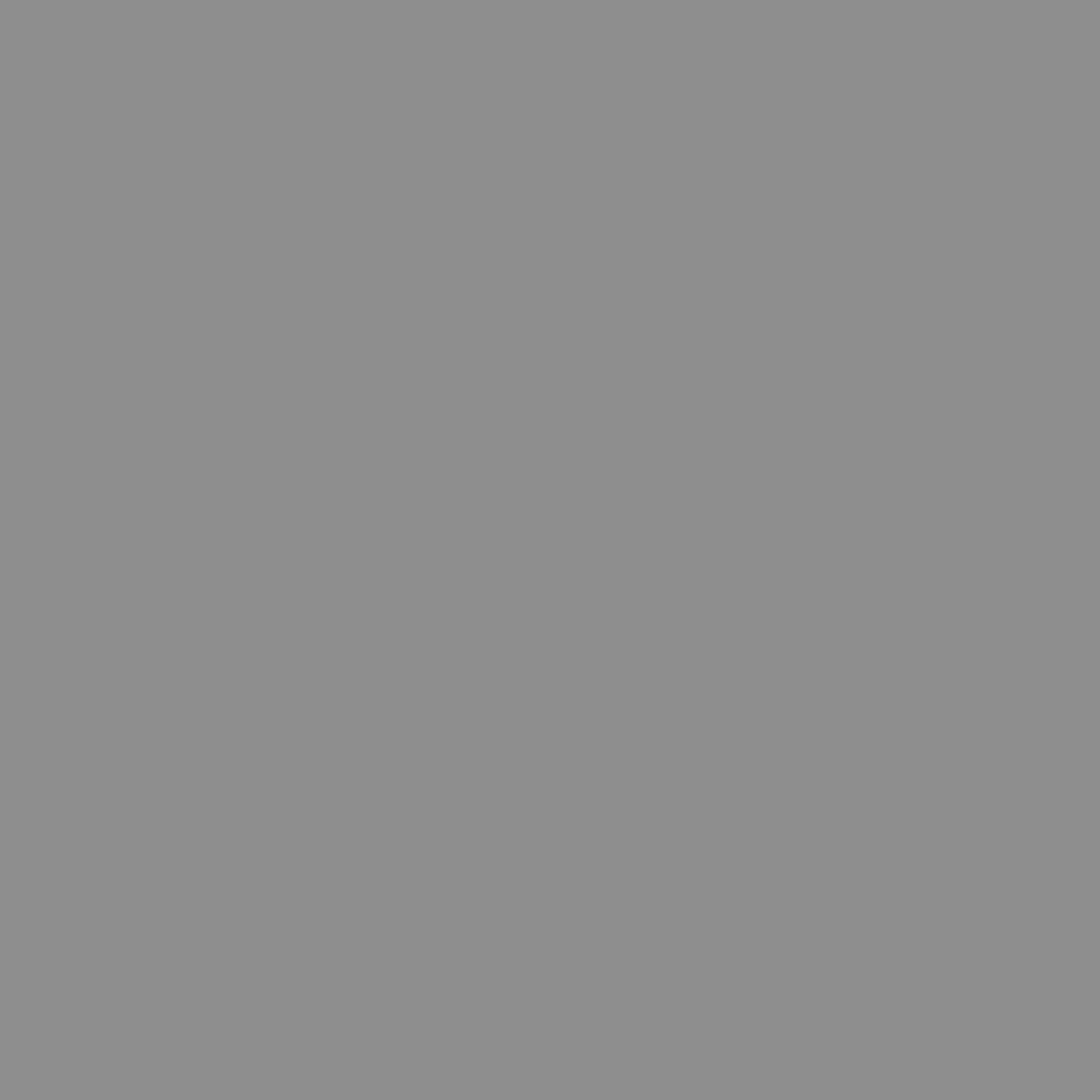ks100-grey Ks100 Grey