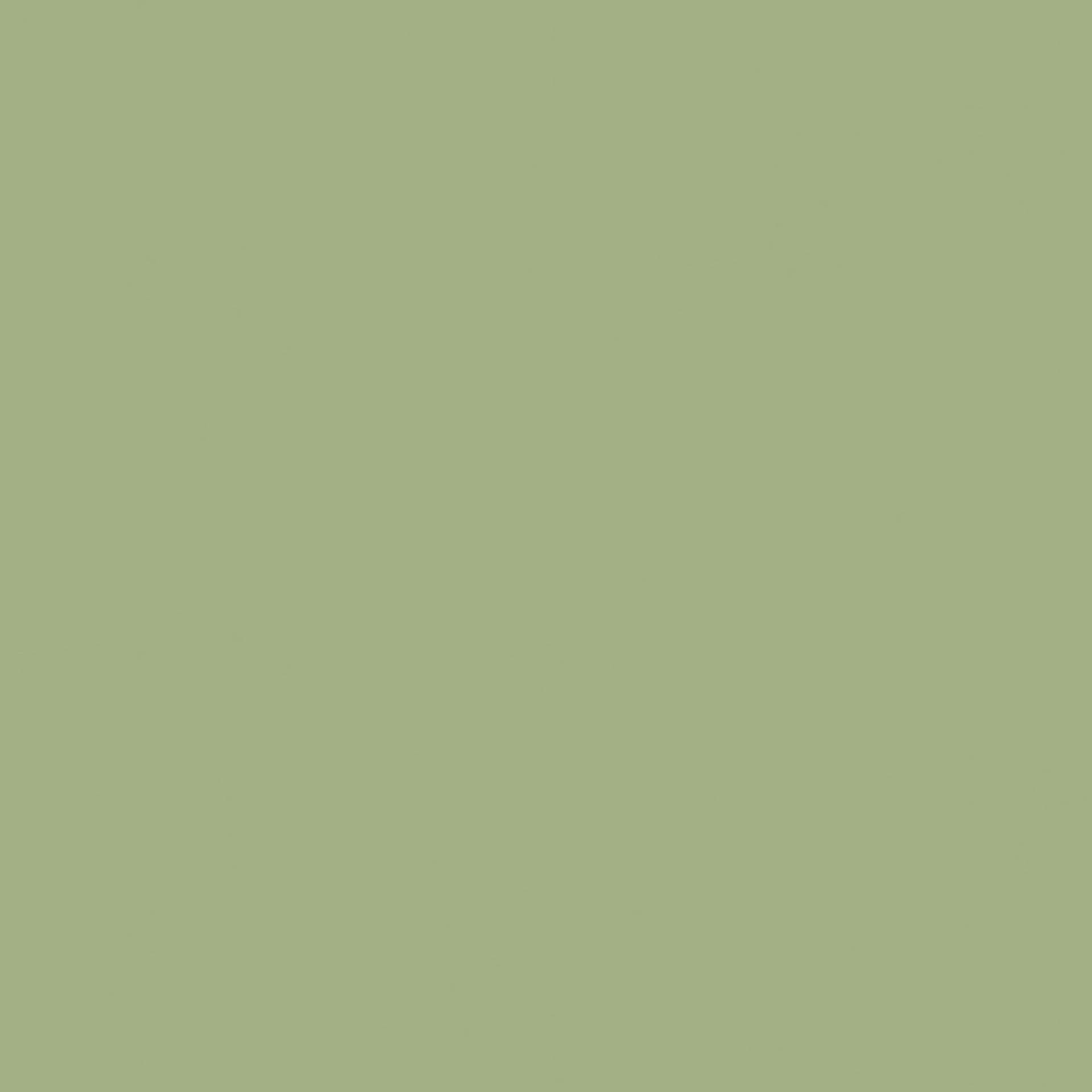 etrusco-olive Etrusco Olive