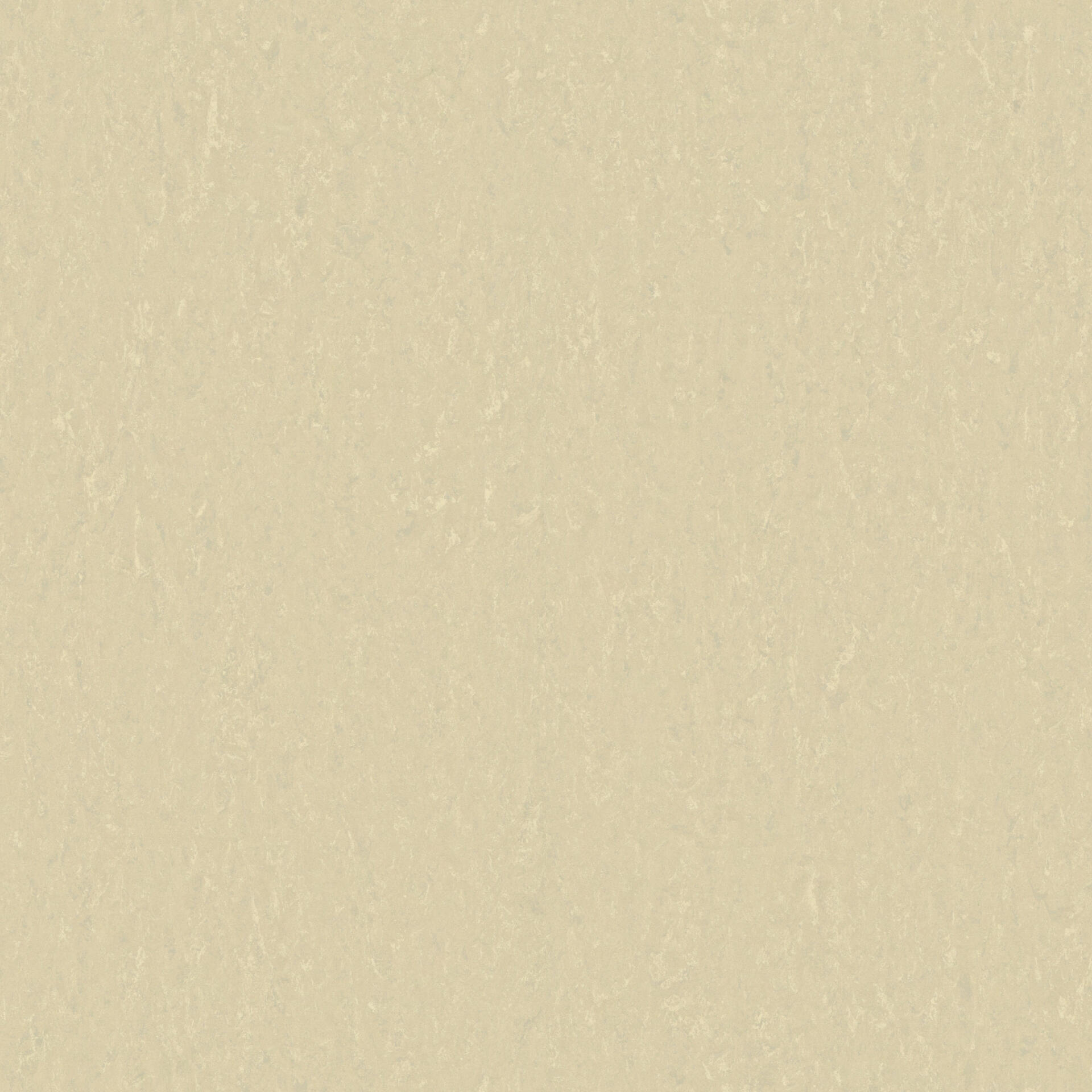 401 Style Emme Pearl