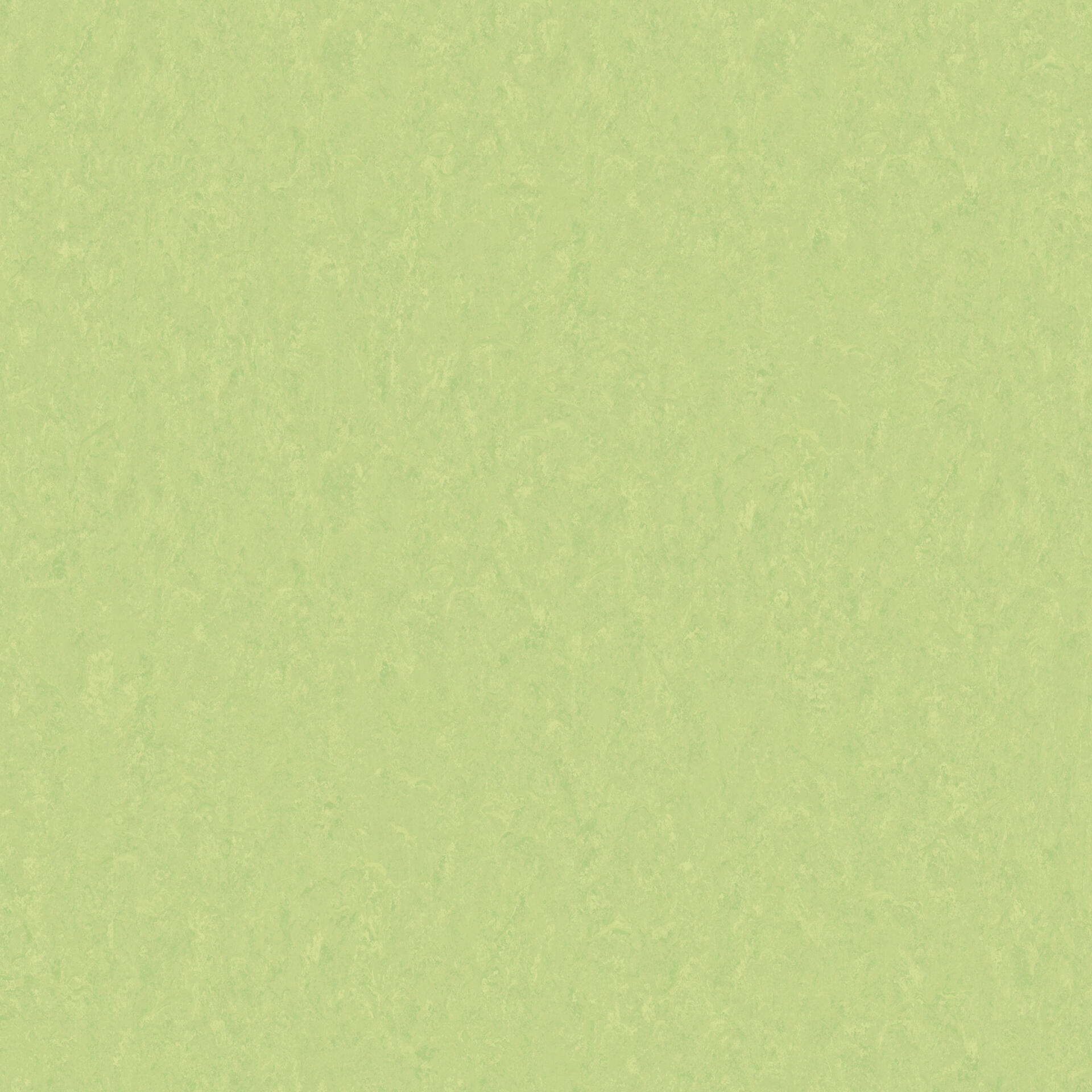 755 Style Emme Mojito
