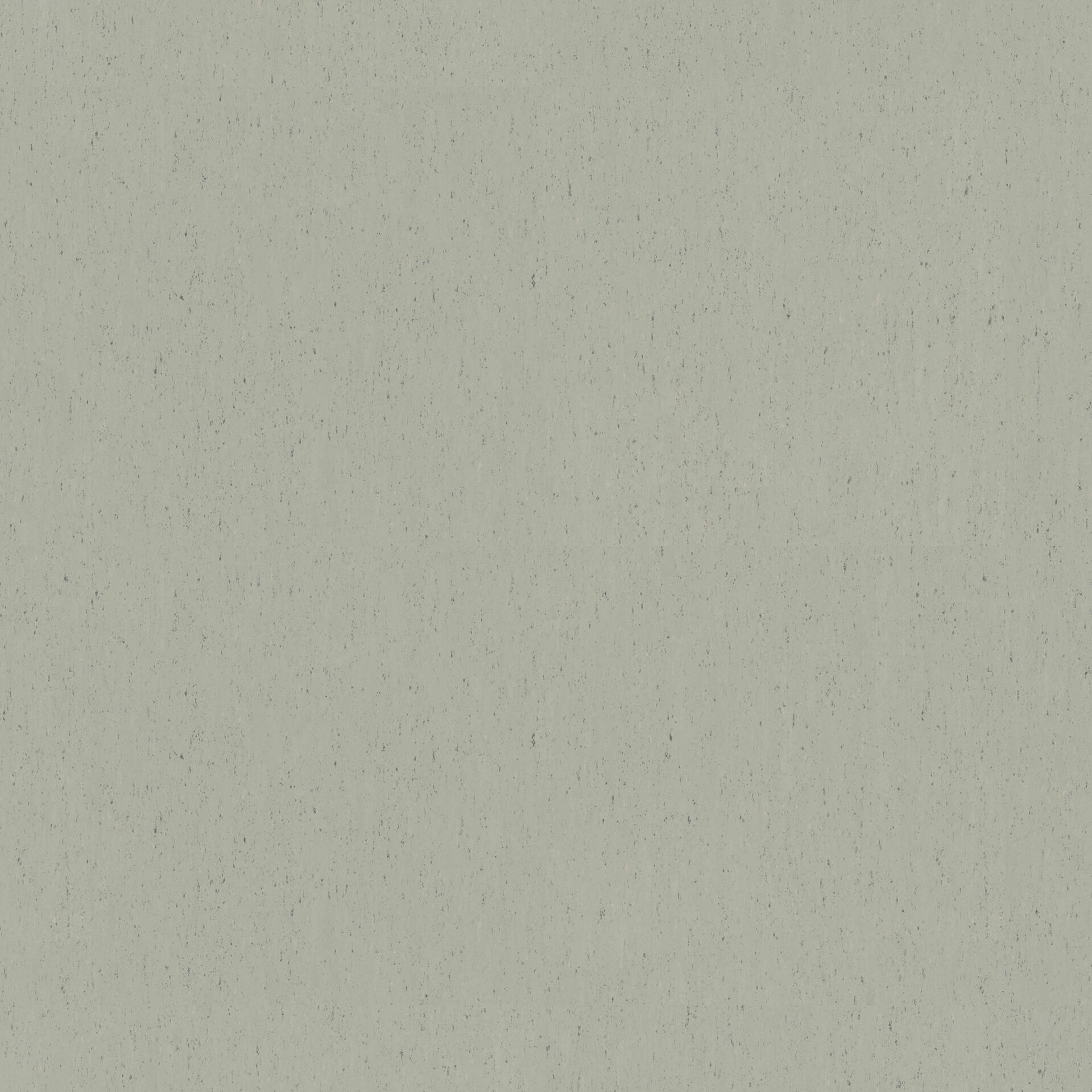 501 Trentino Salt