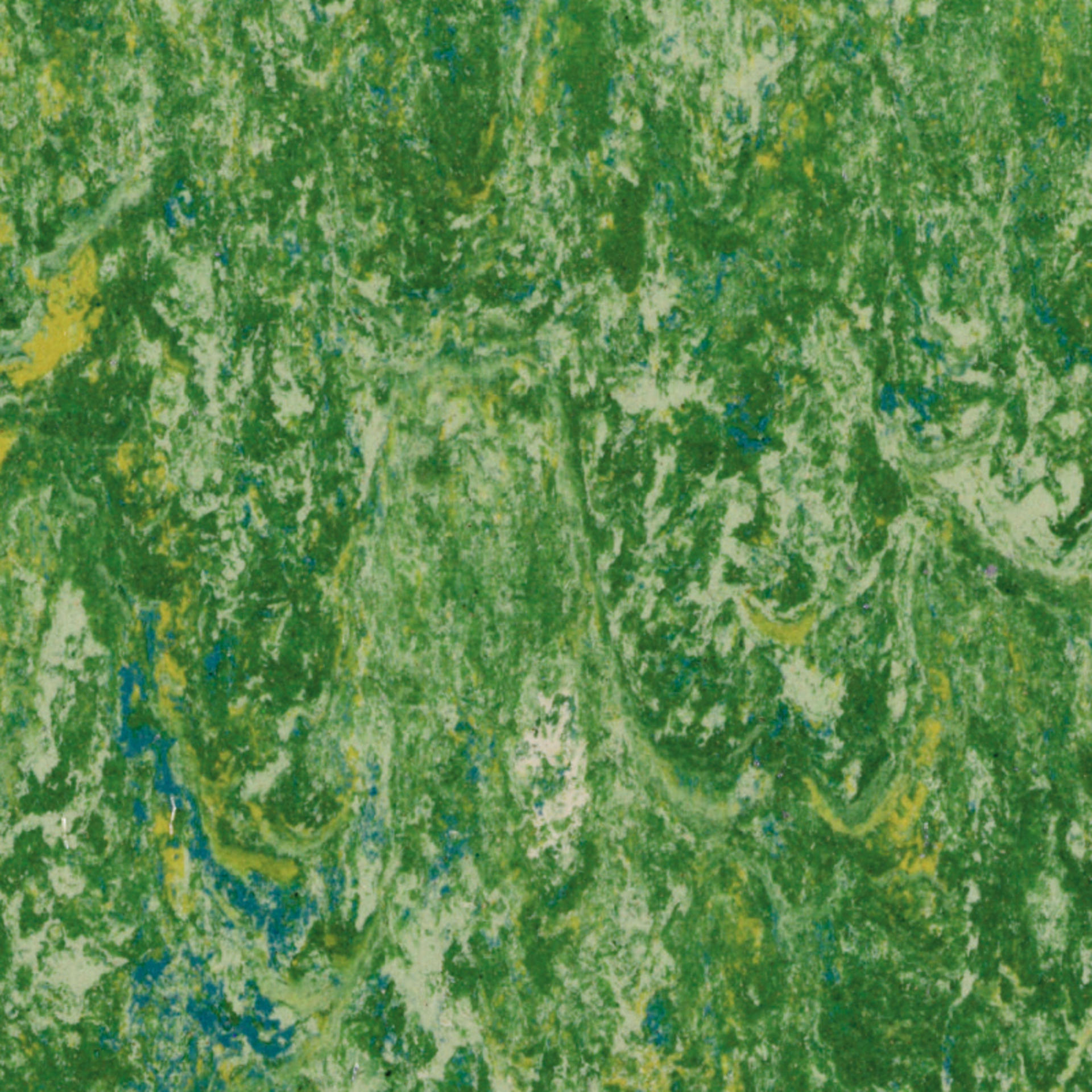 650 Veneto Grass