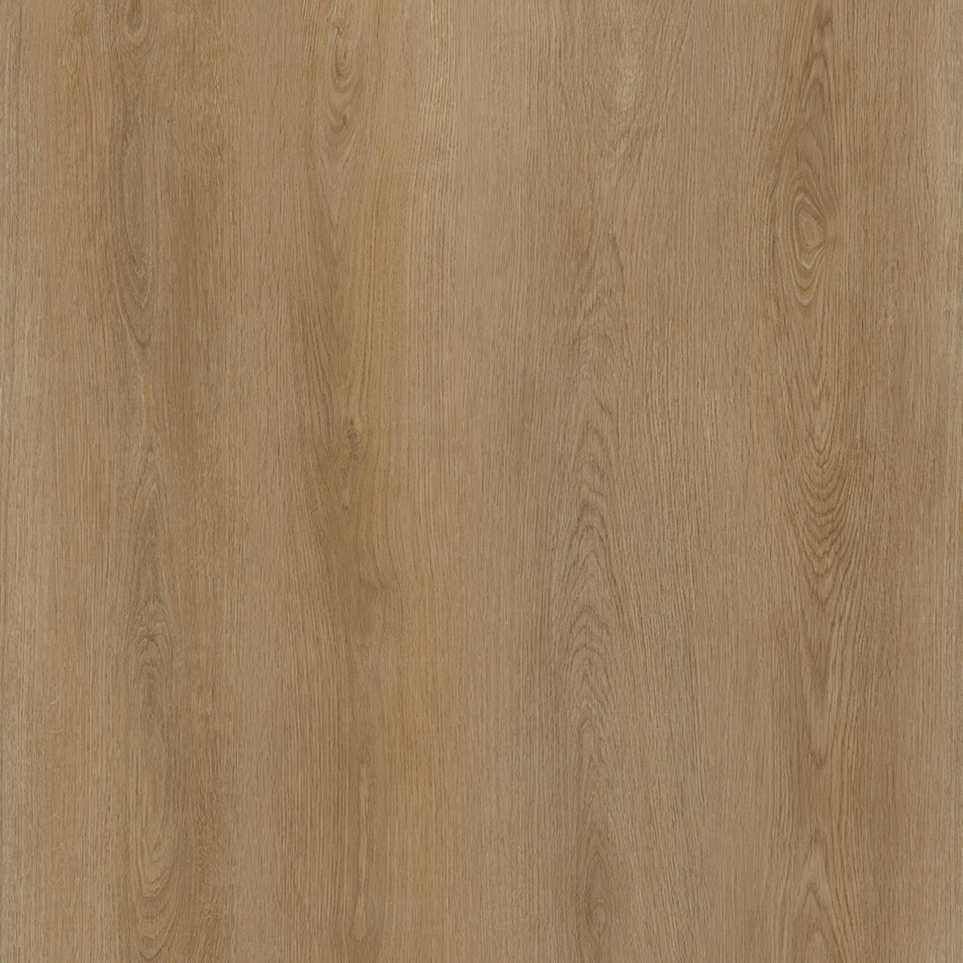 Warm Wood