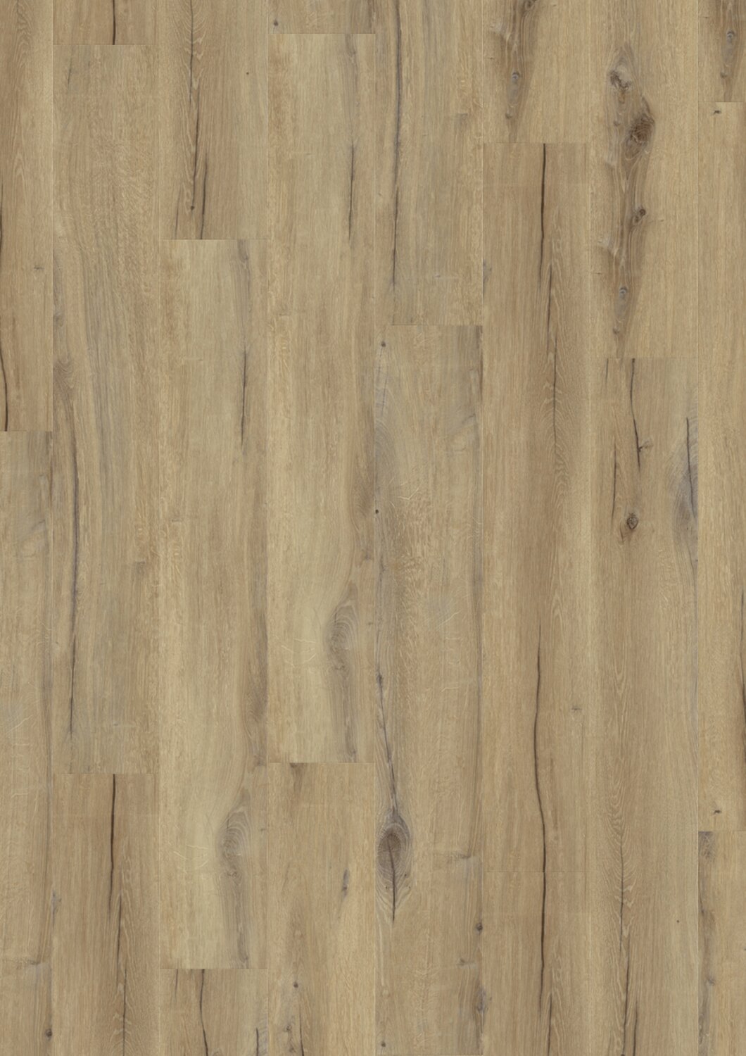 1010 DAINTREE BROWN