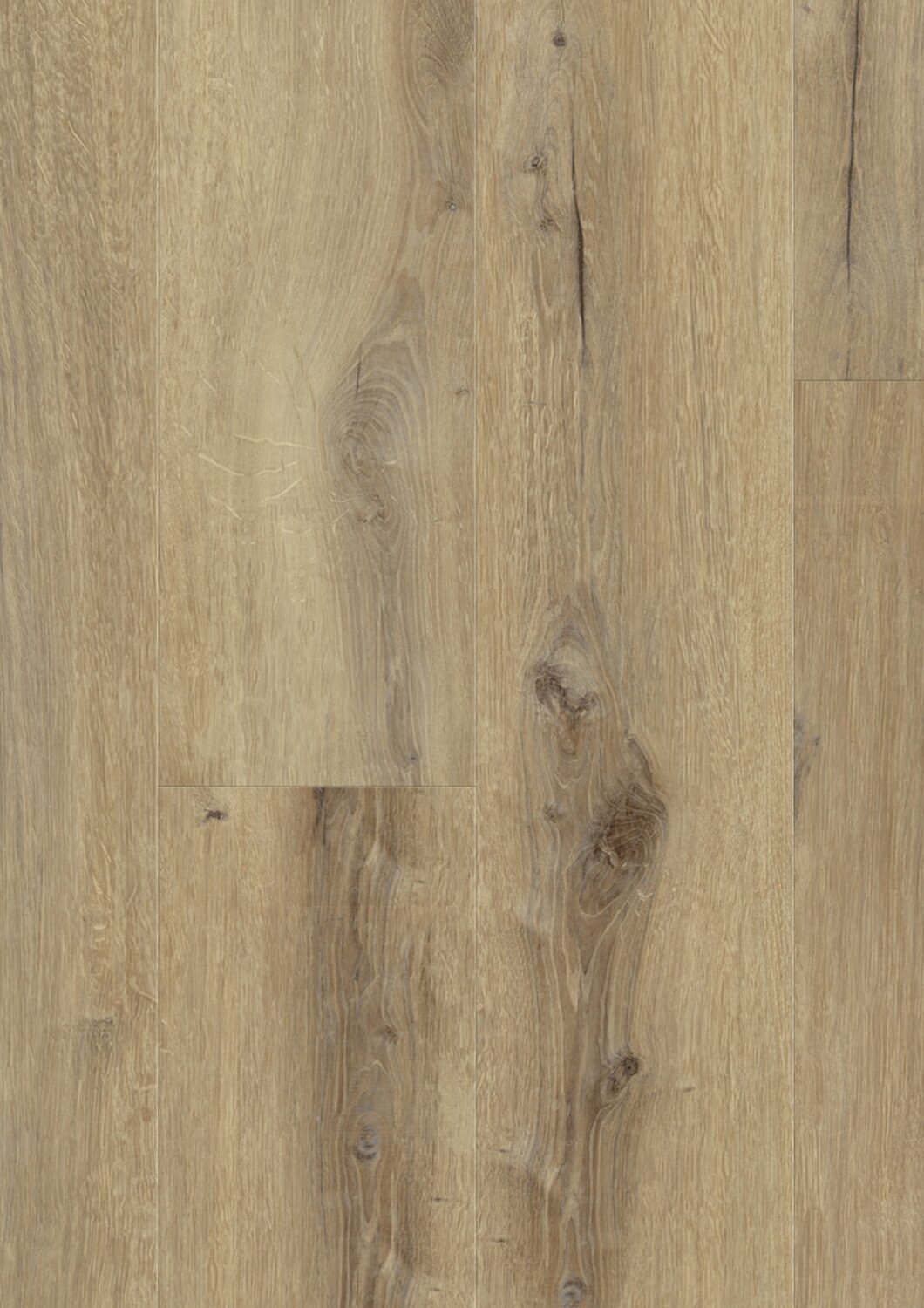 1010 DAINTREE BROWN