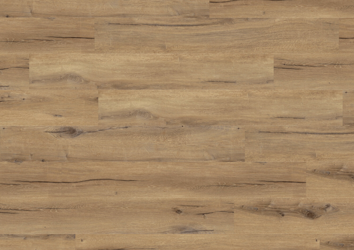 1010 DAINTREE BROWN