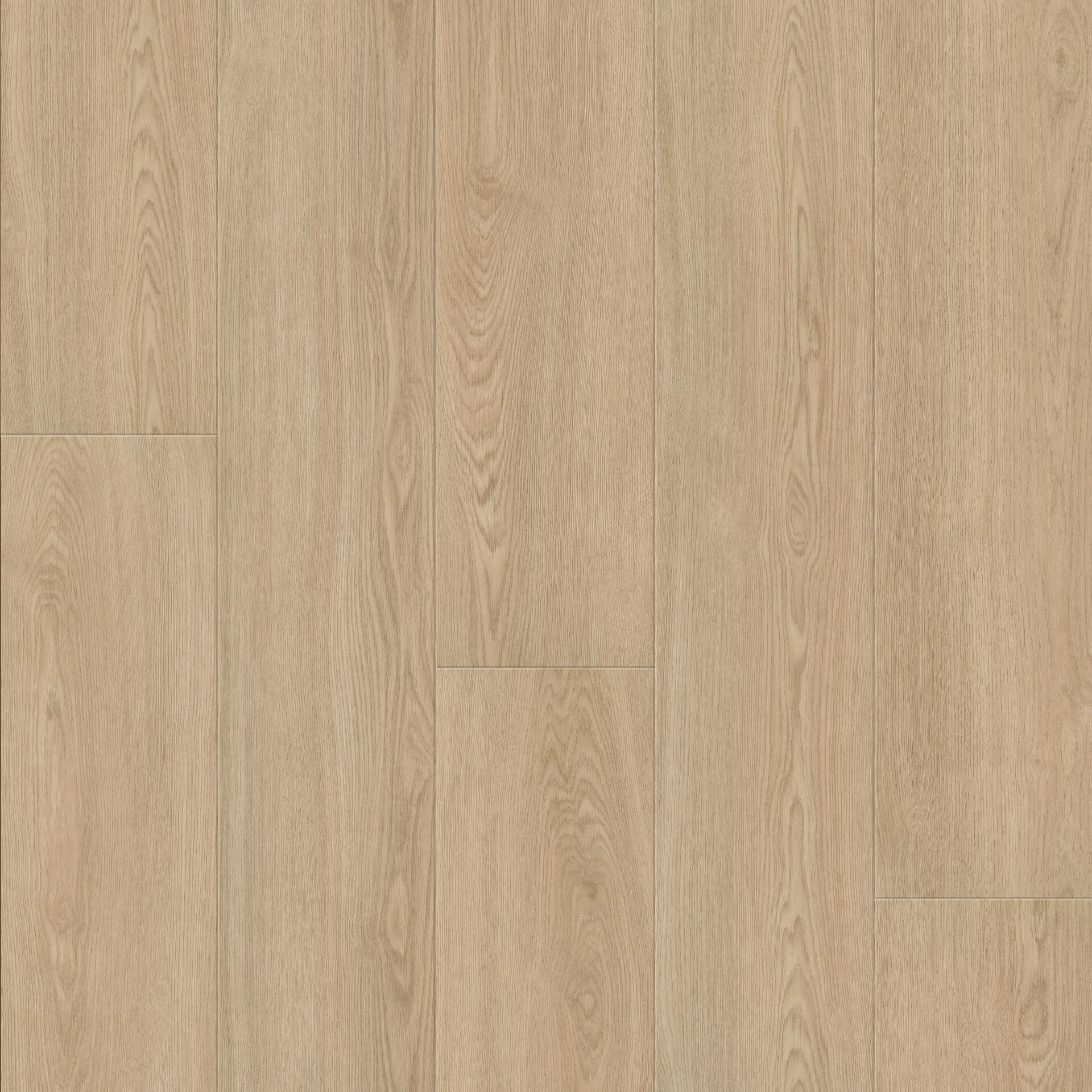 Serene Oak Cold Beige