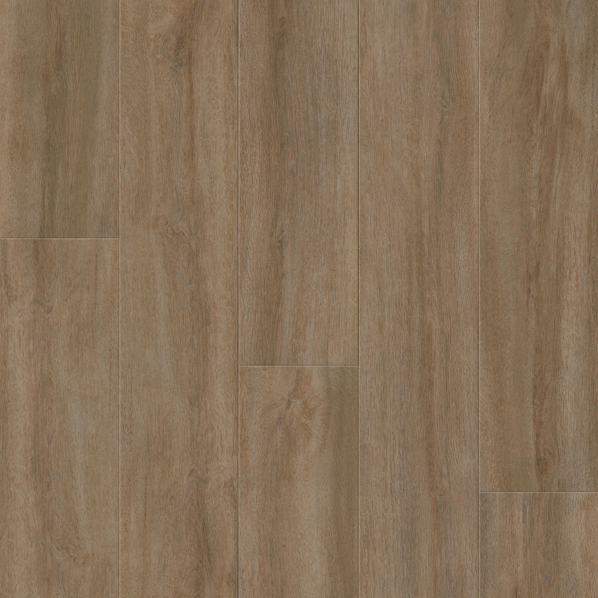 Elegant Oak Dark Brown
