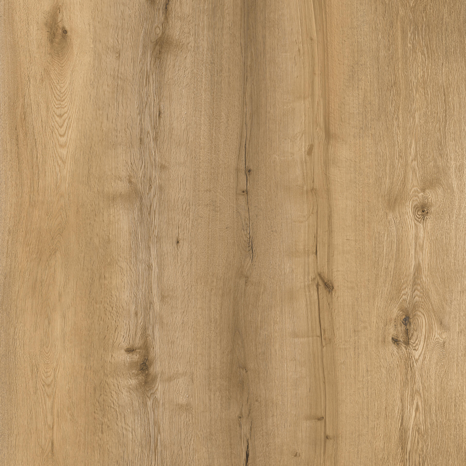Golden Oak