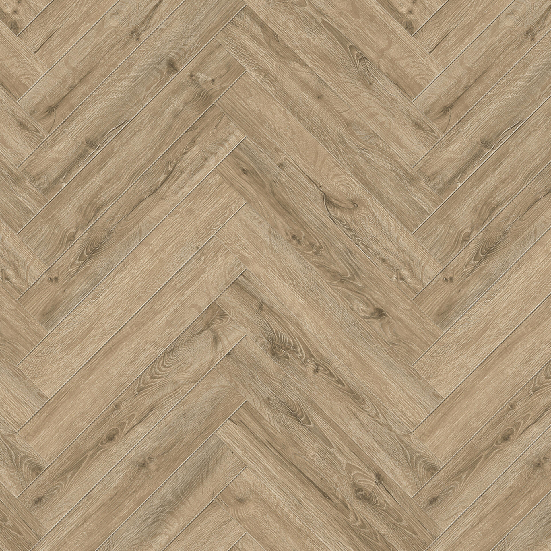 Sand Oak Hb