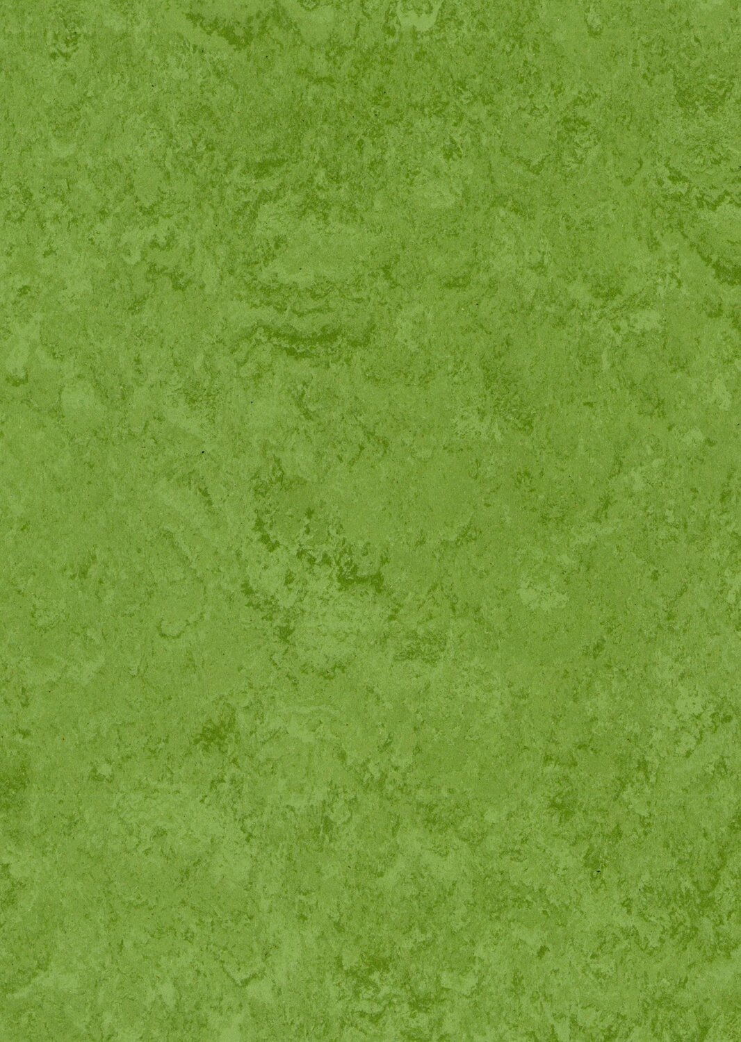 AVOCADO GREEN