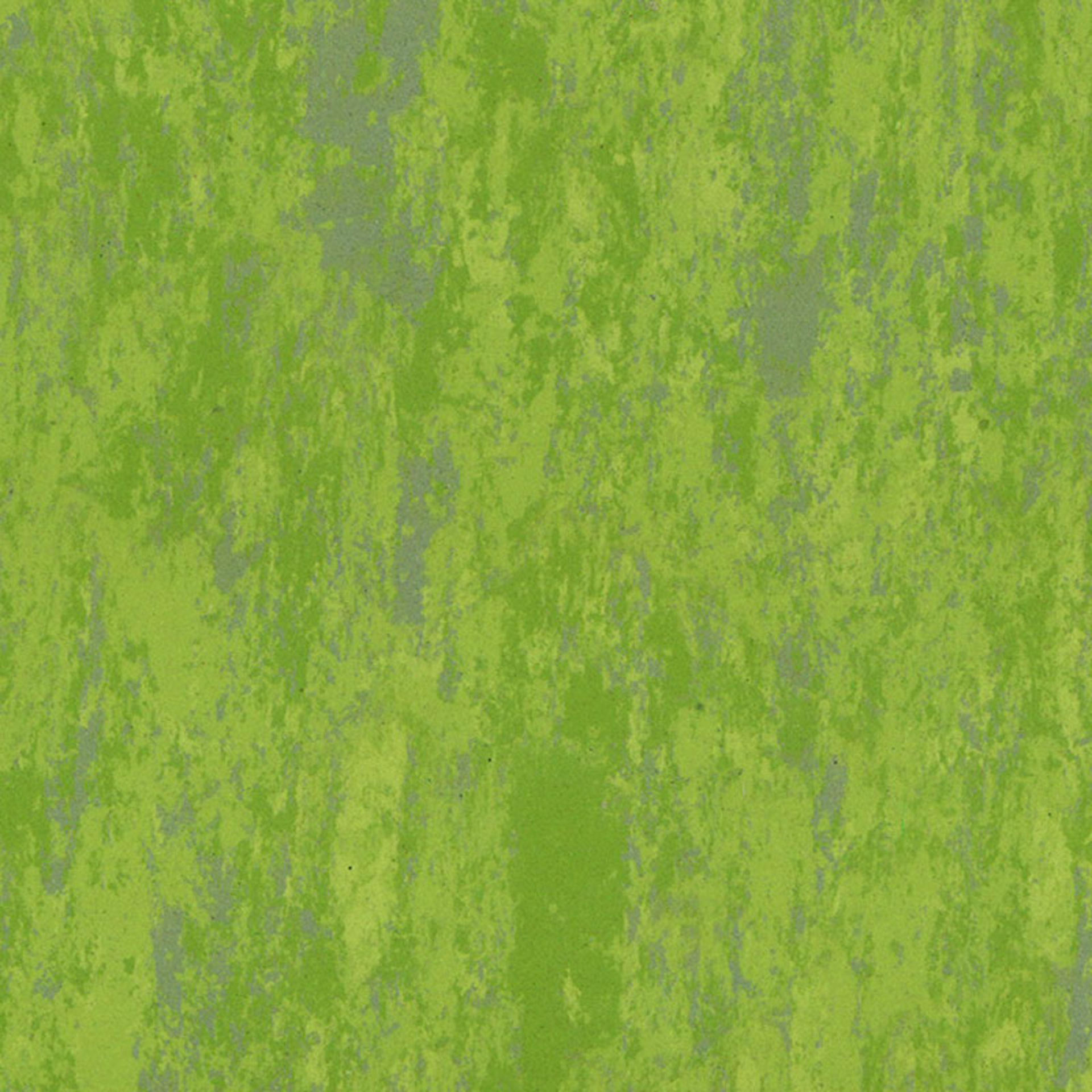 895 Linosport Classic LAWN