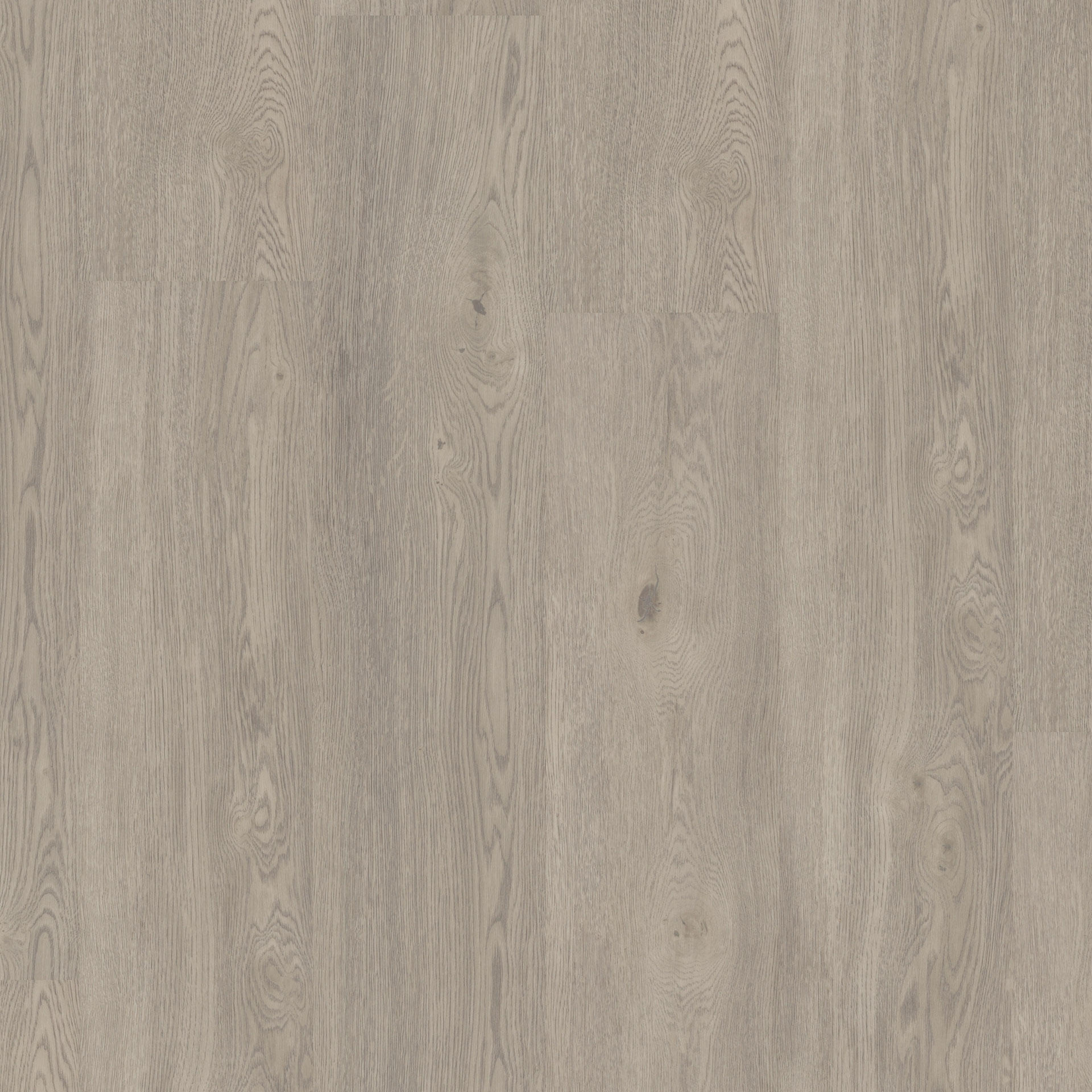 Living Oak Grey