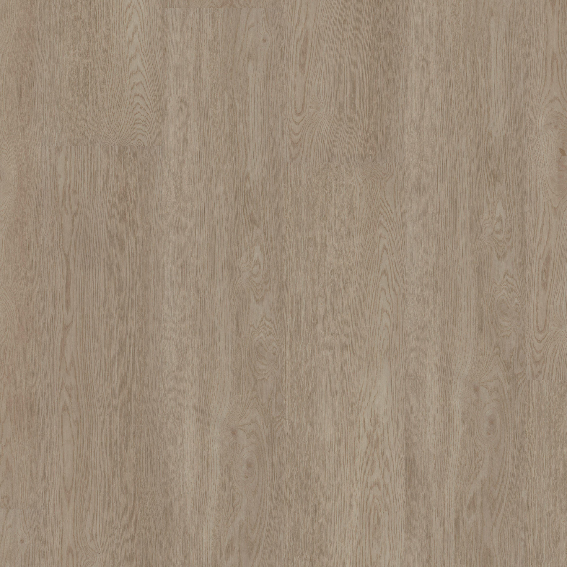 Living Oak Natural