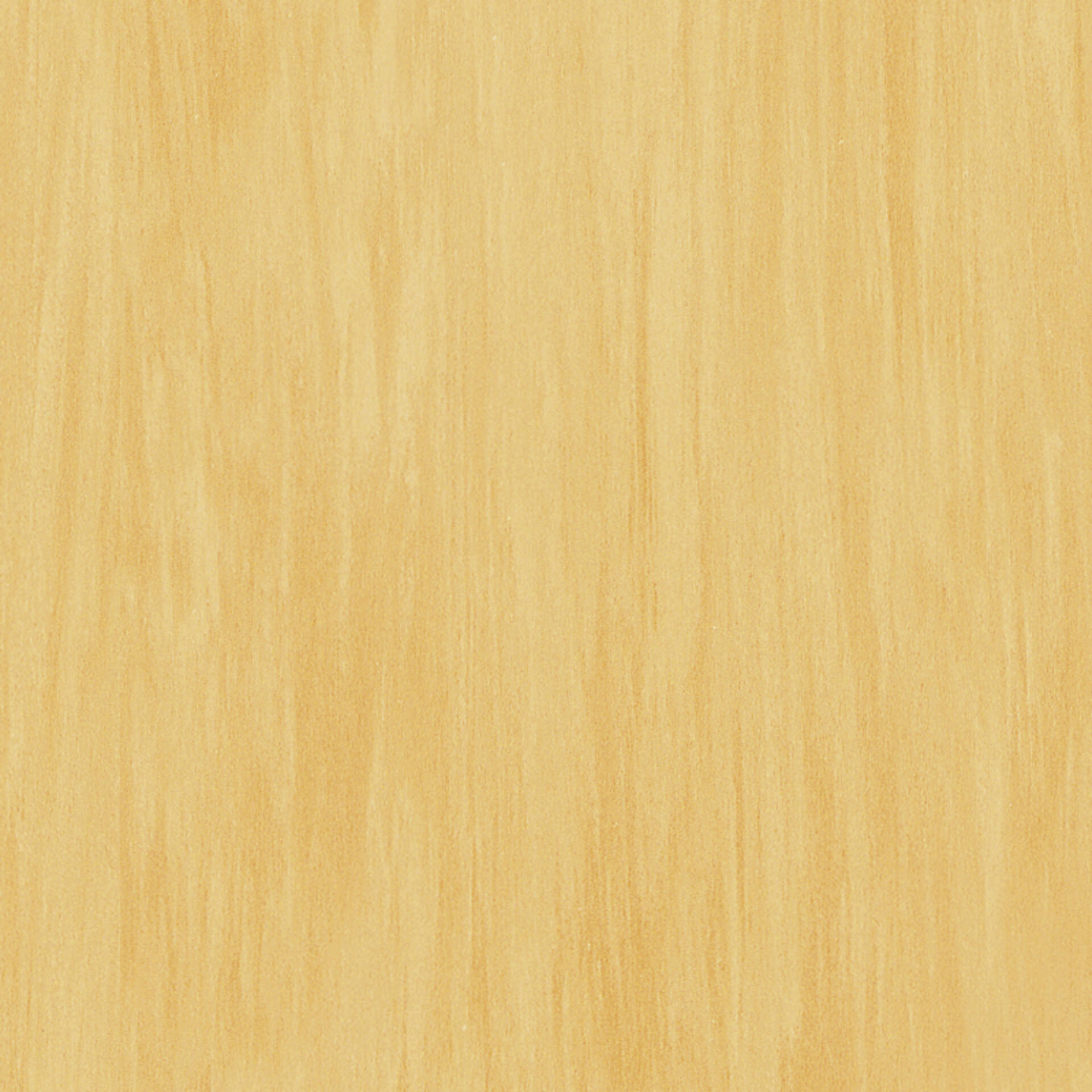 0597 Canary