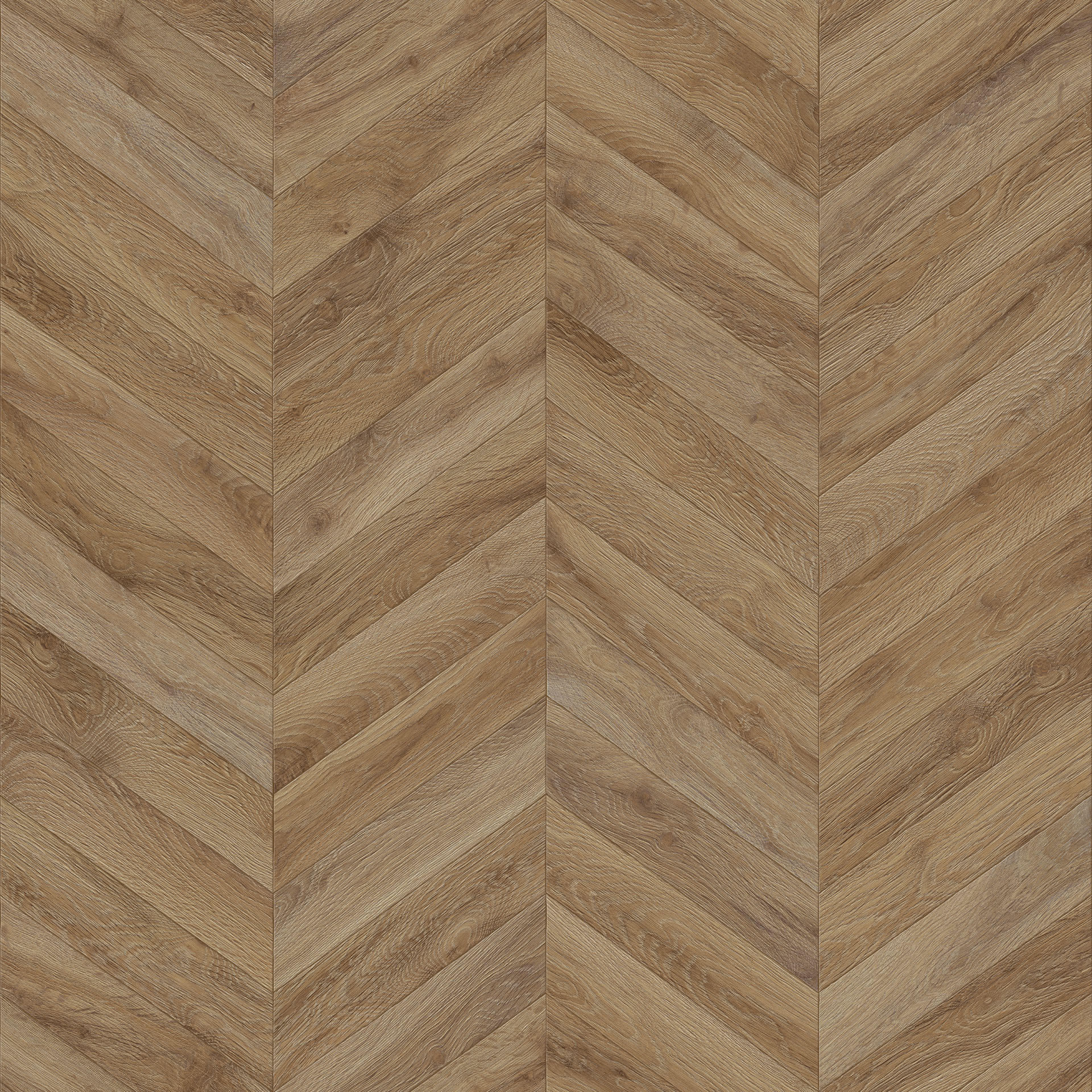 Chevron 5