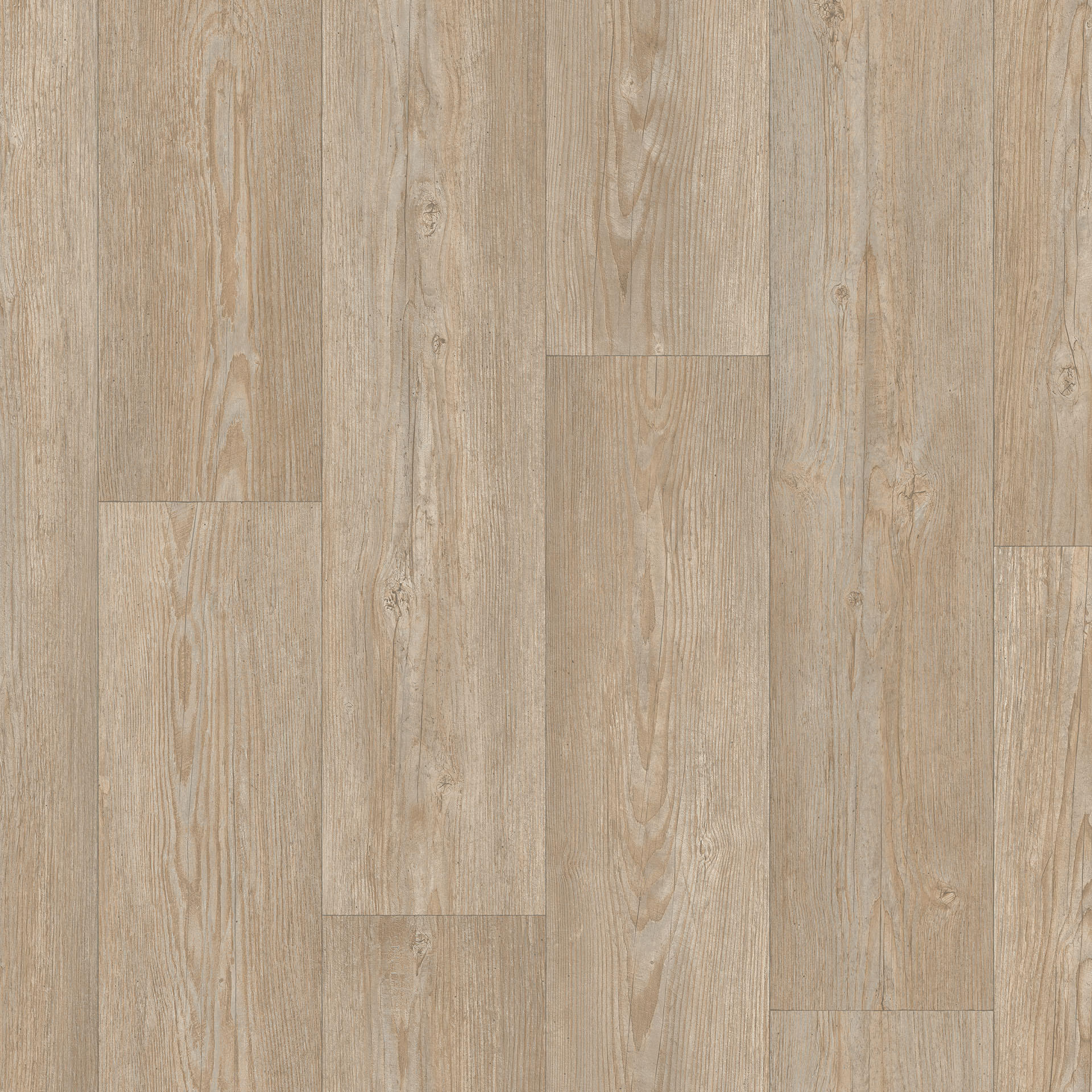 Winter Pine Pebble Grey