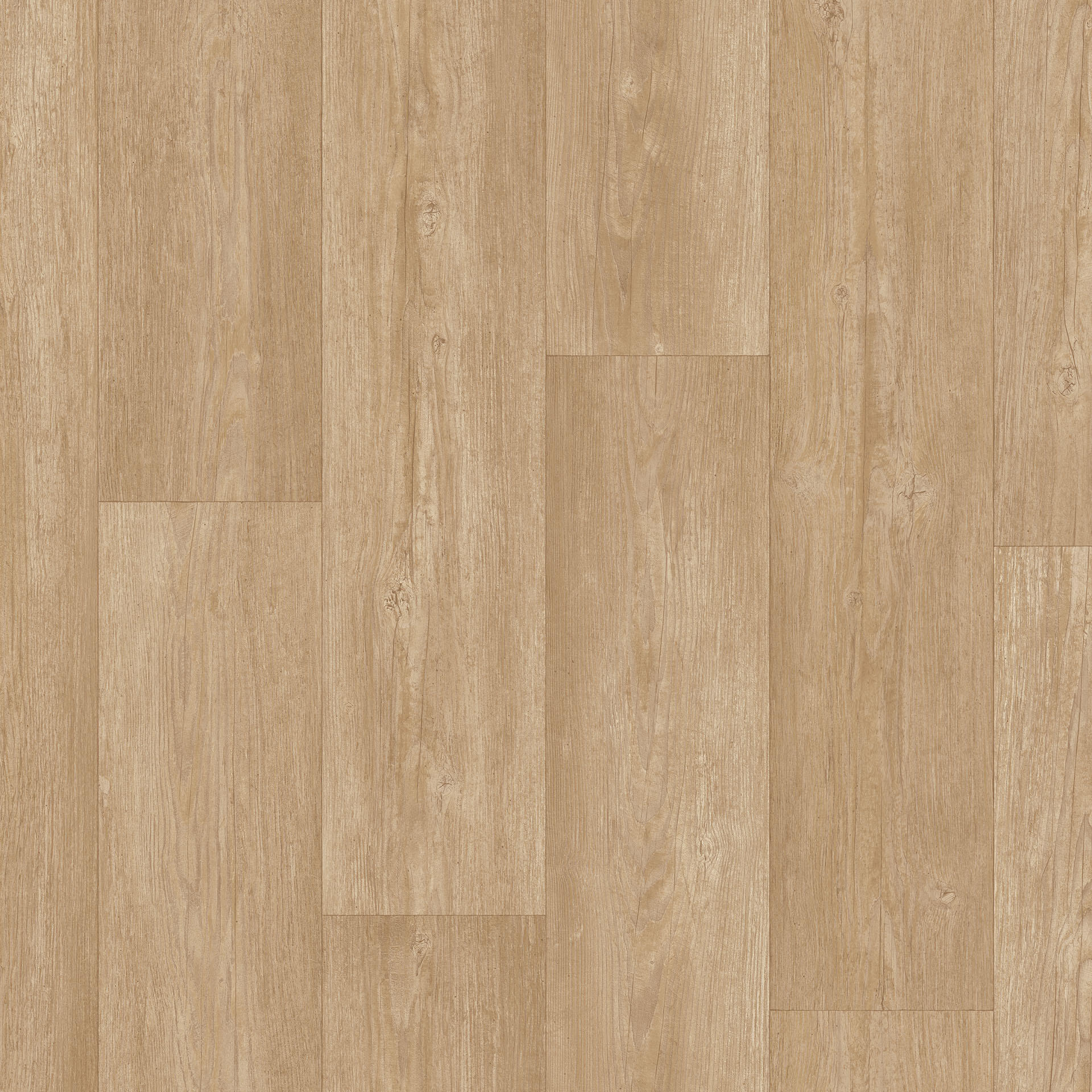 Winter Pine Soft Natu