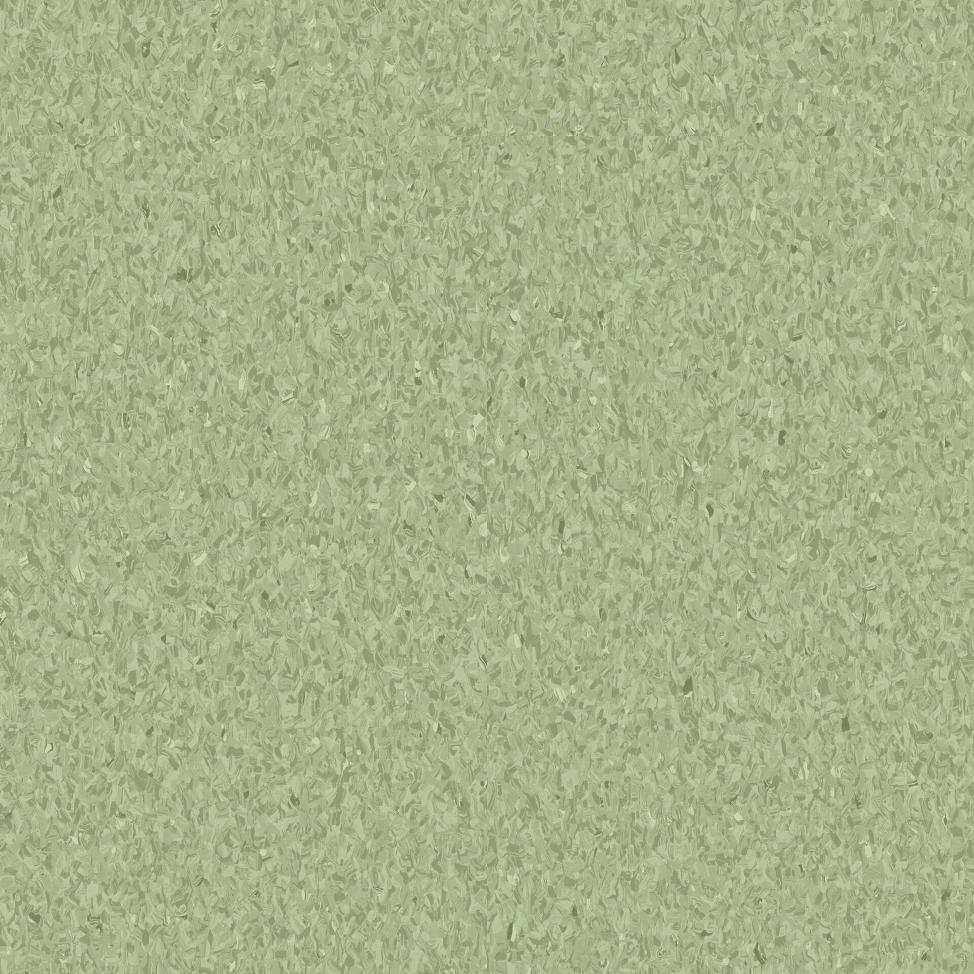 0412 Olive