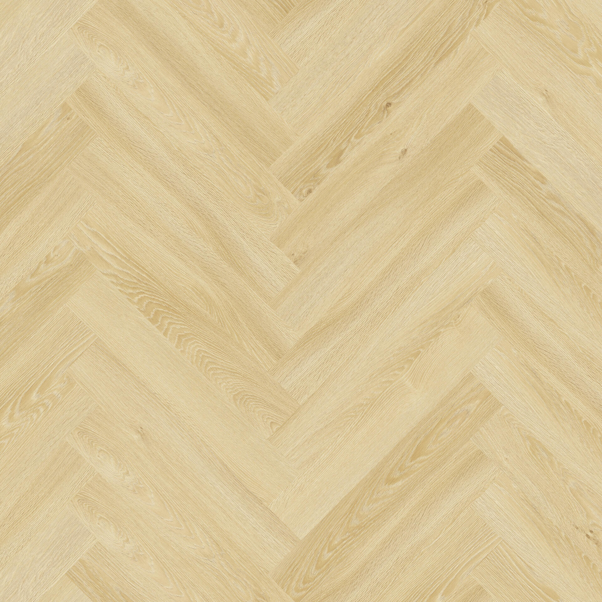 Essence 55 Cool Oak Classical 4v