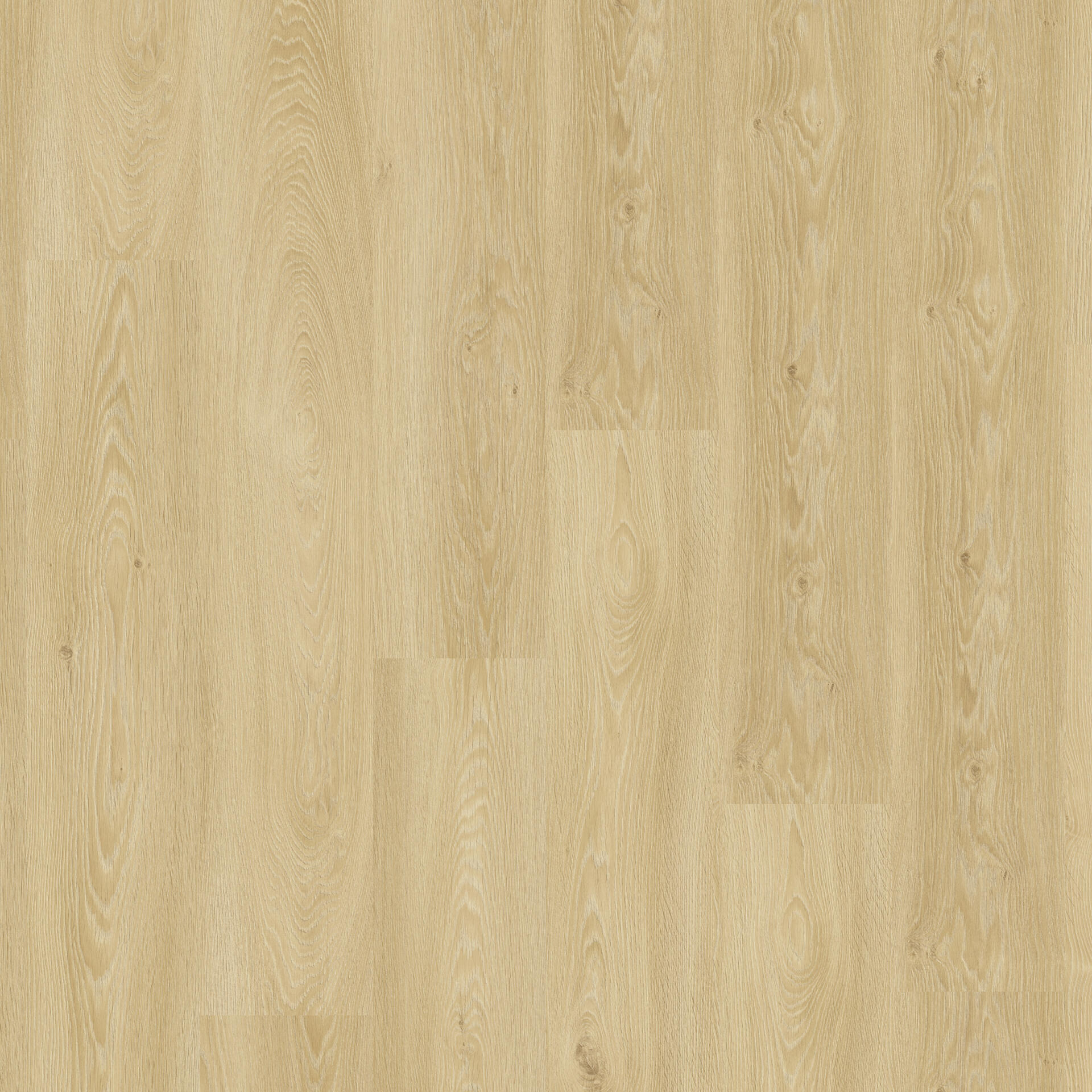 Essence 30 Cool Oak Classical