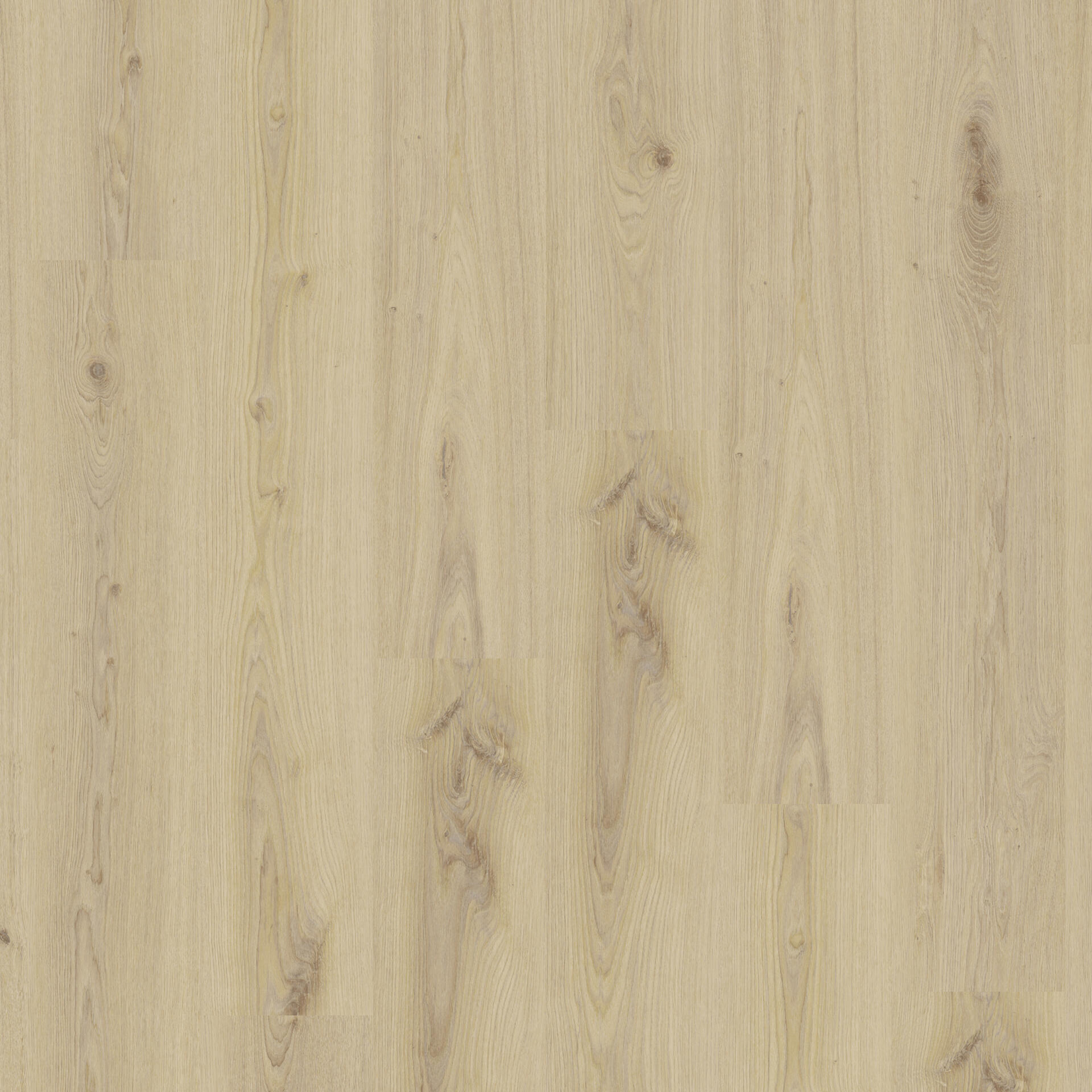Essence 30 Primary Oak Beige