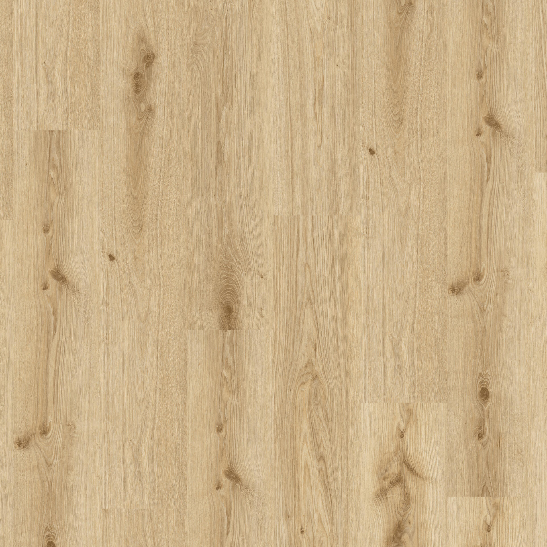 Essence30 Primary Oak Lt Brown