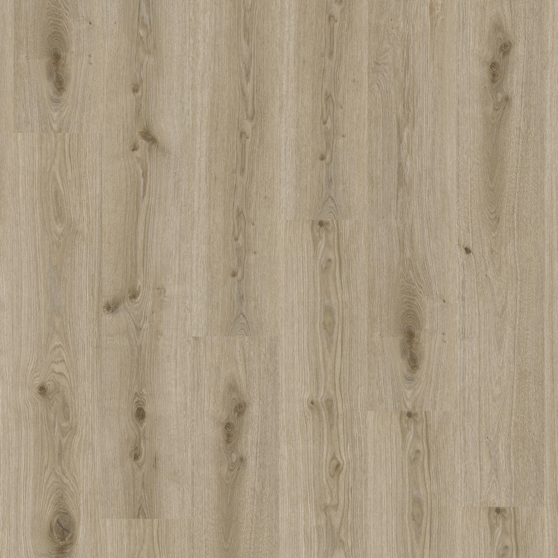 Essence 30 Primary Oak Lt Grey
