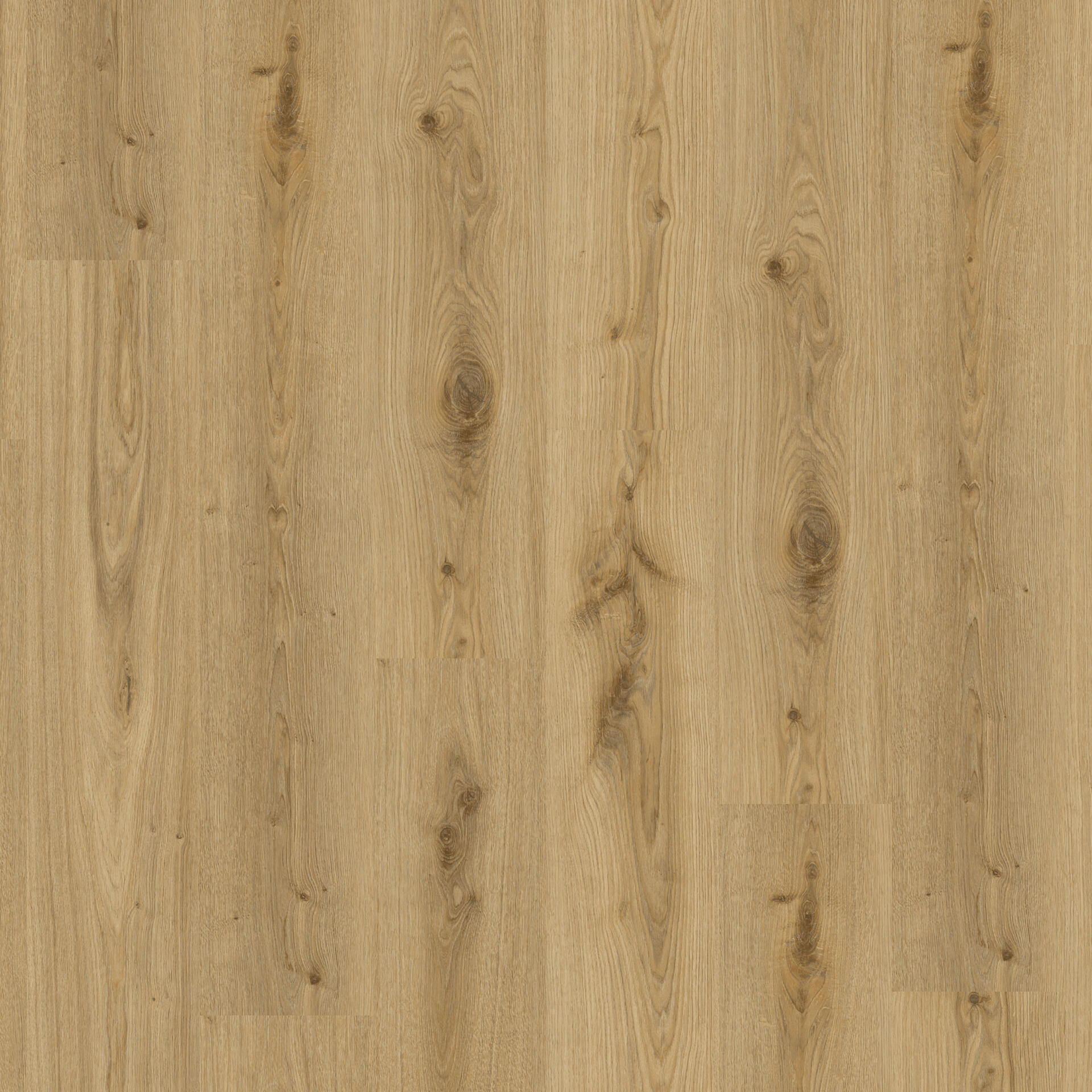 Essence 30 Primary Oak Natural