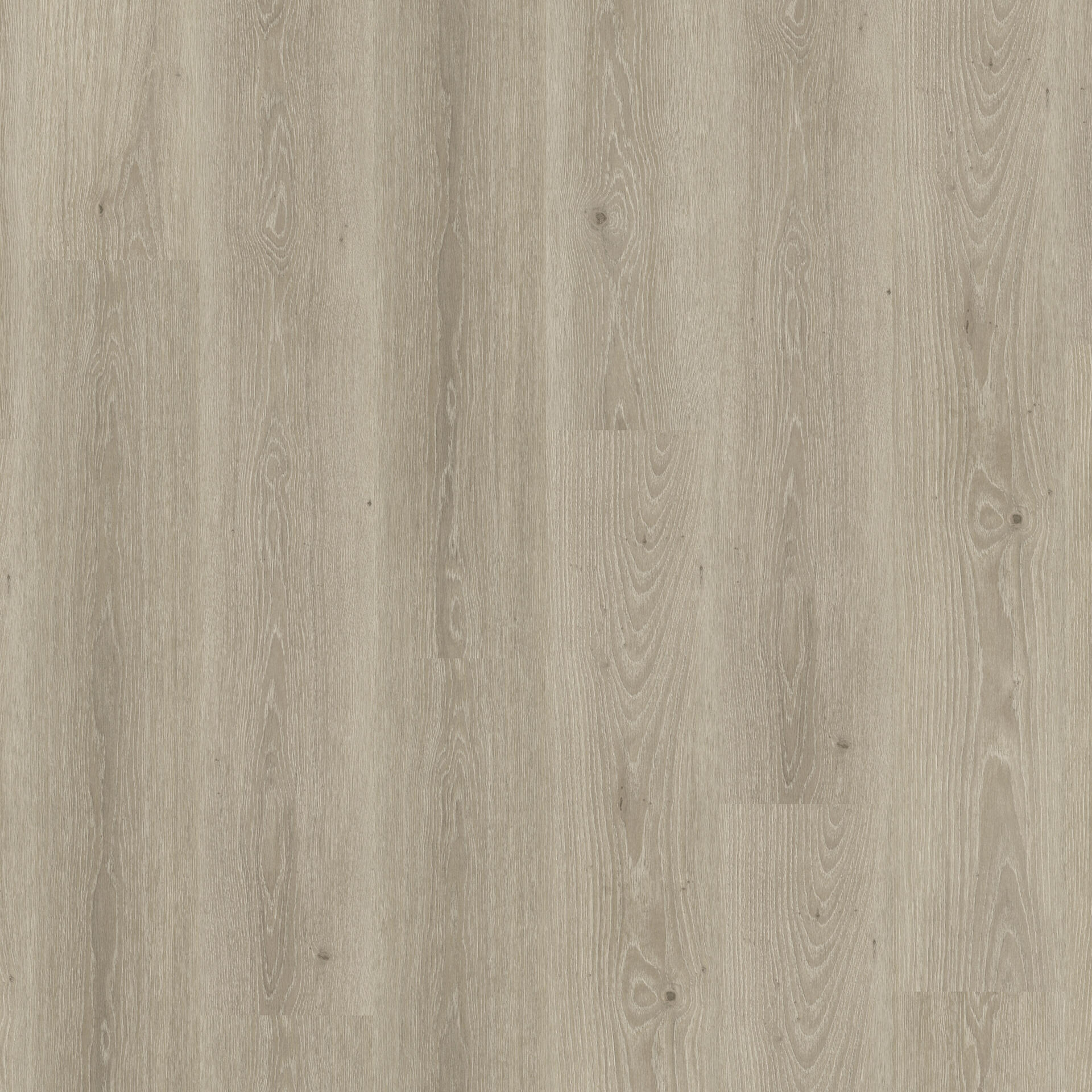 Essence 30 Tribe Oak Grey