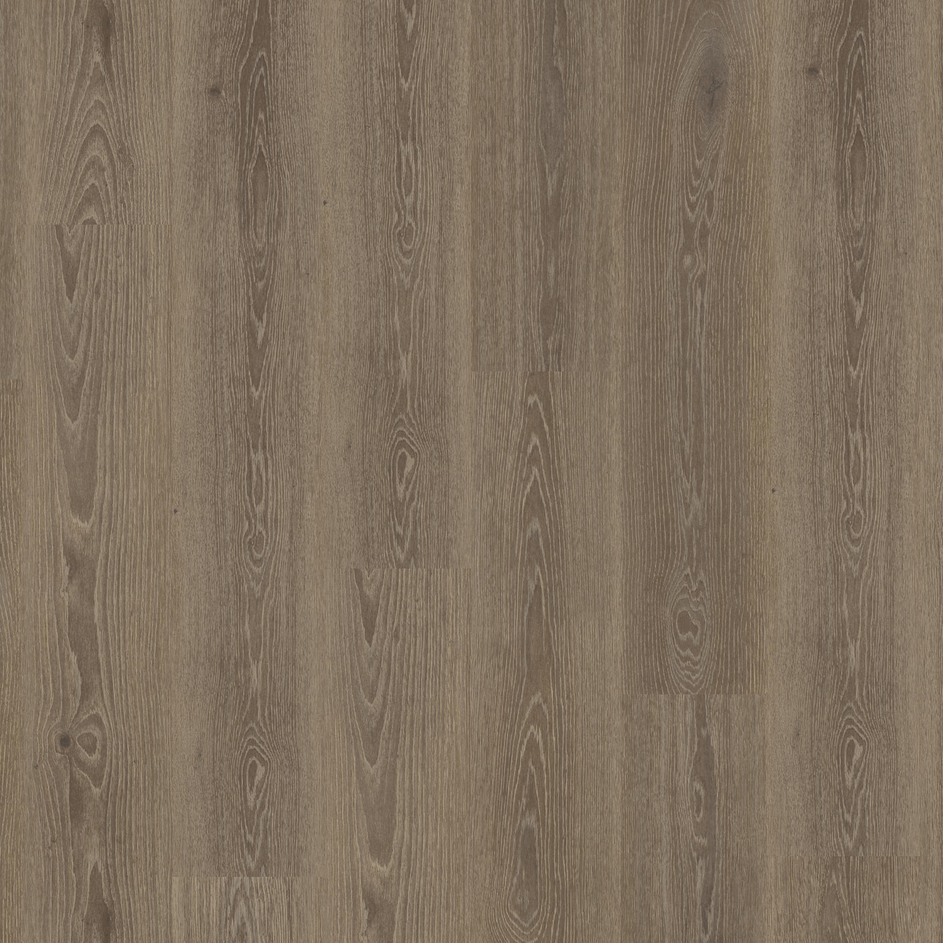 Essence 30 Tribe Oak Mocha