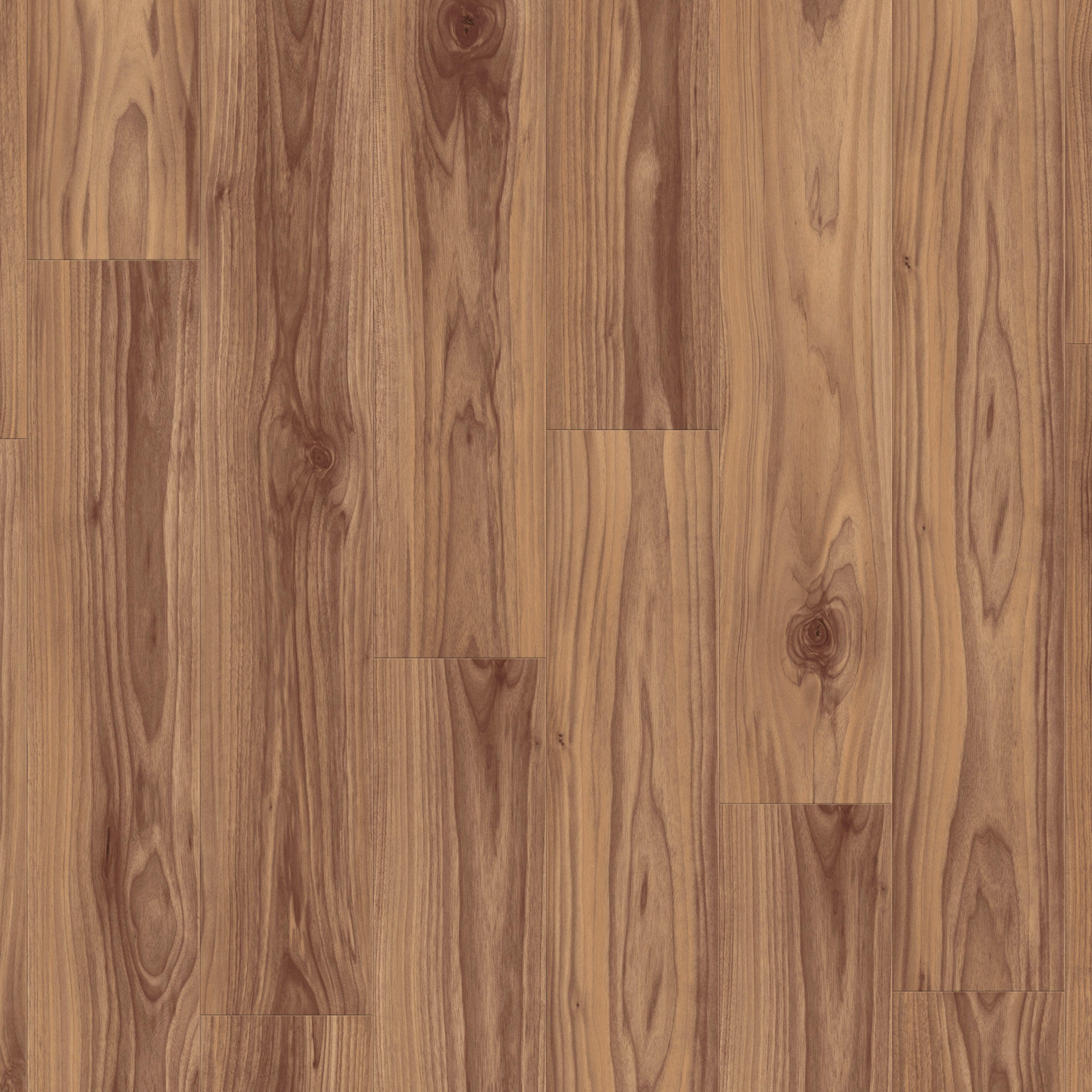 American Walnut Cinnamon