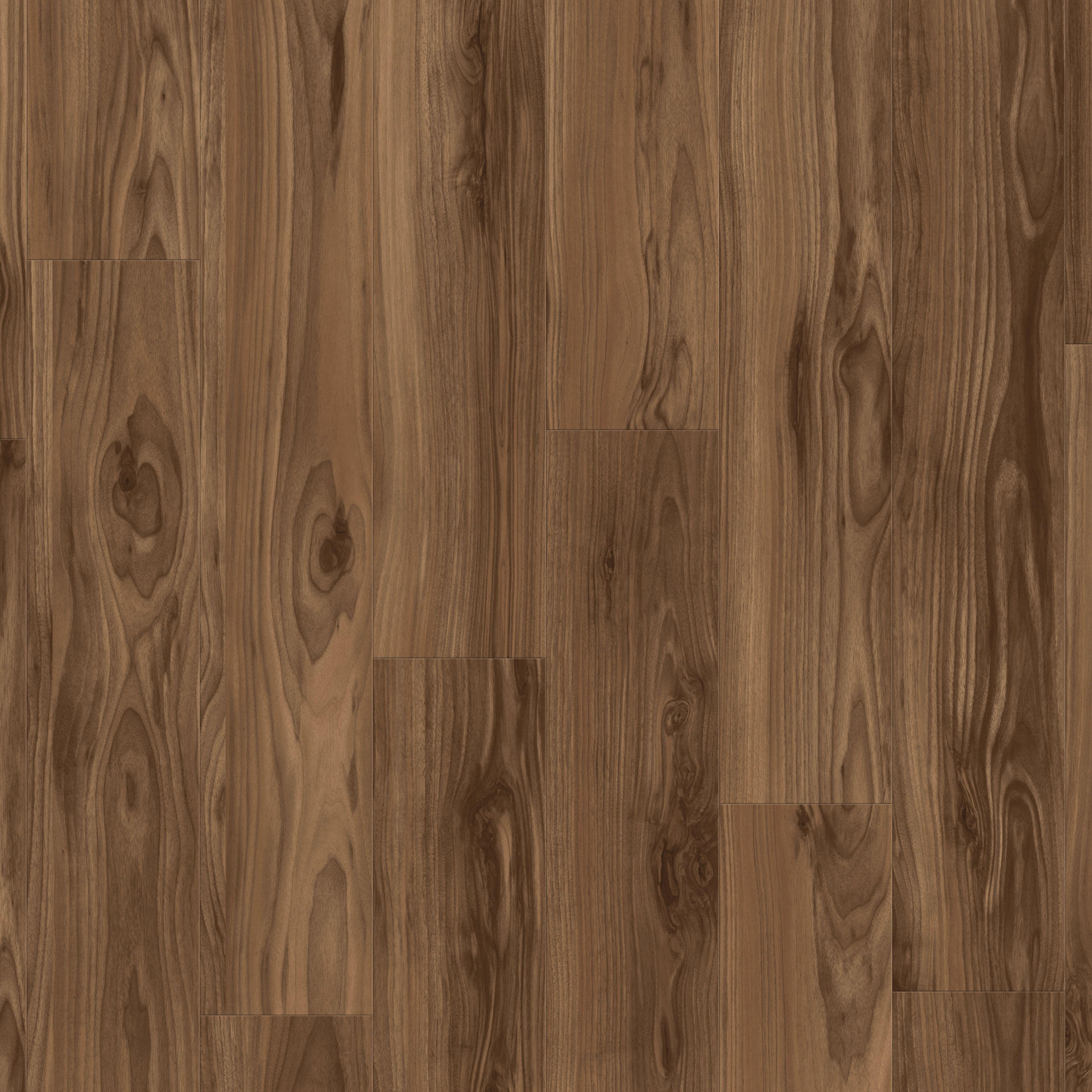 American Walnut Marron