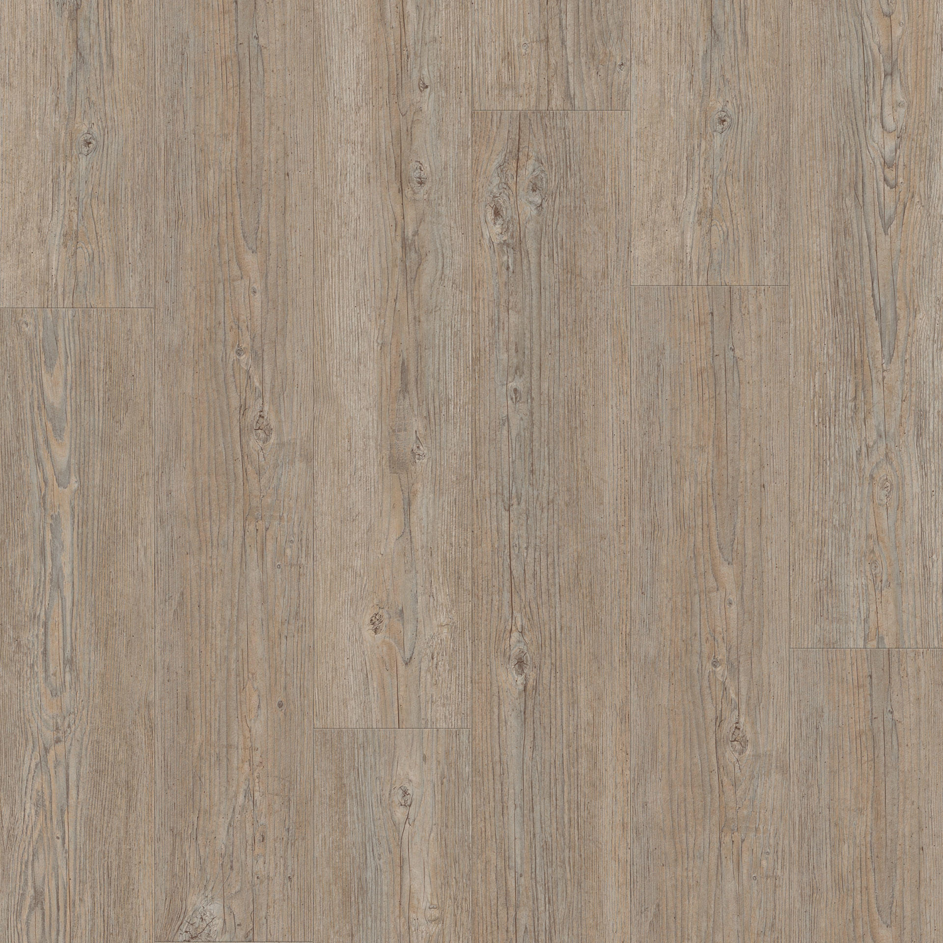 Brushed Pine Brown