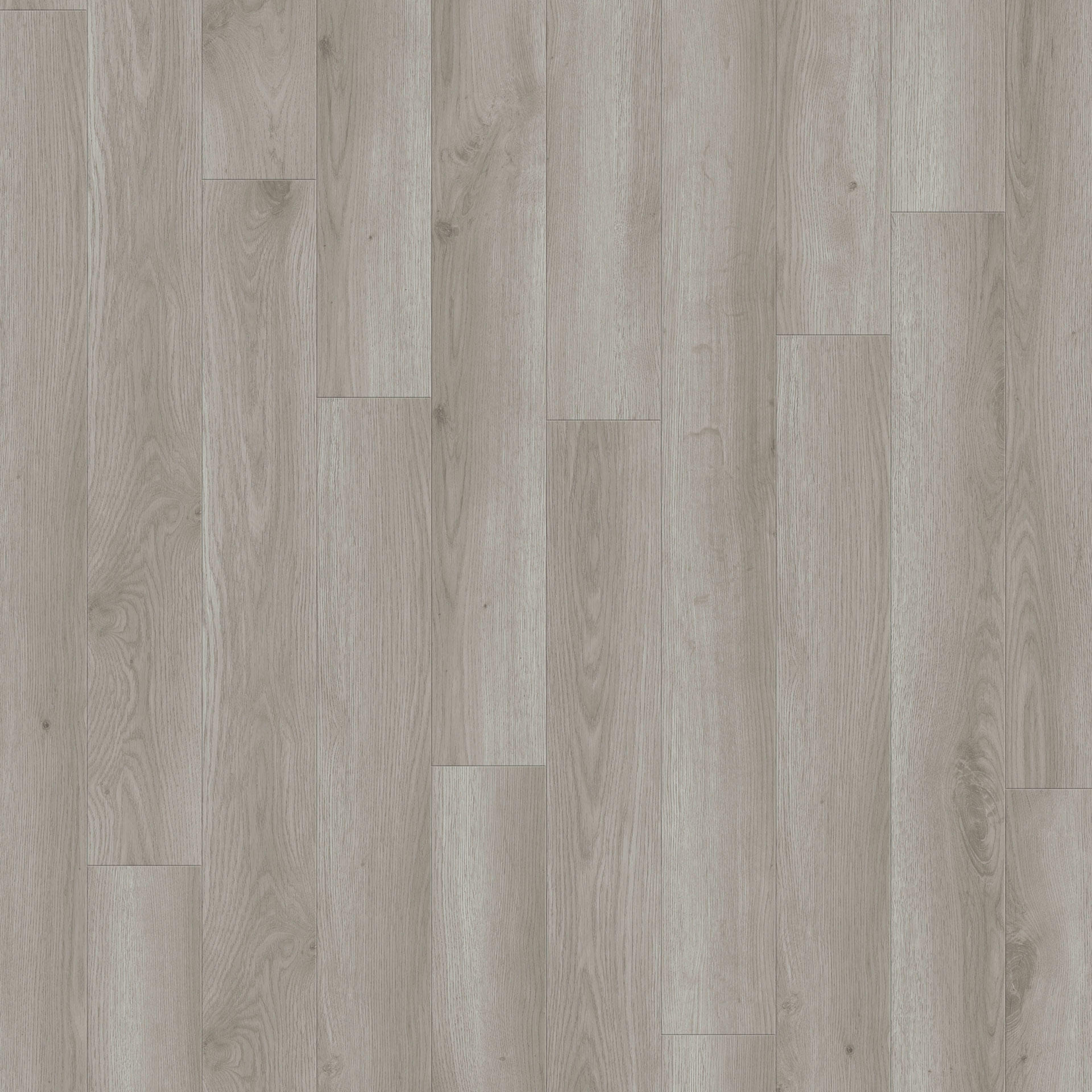 Contemporary Oak Grey