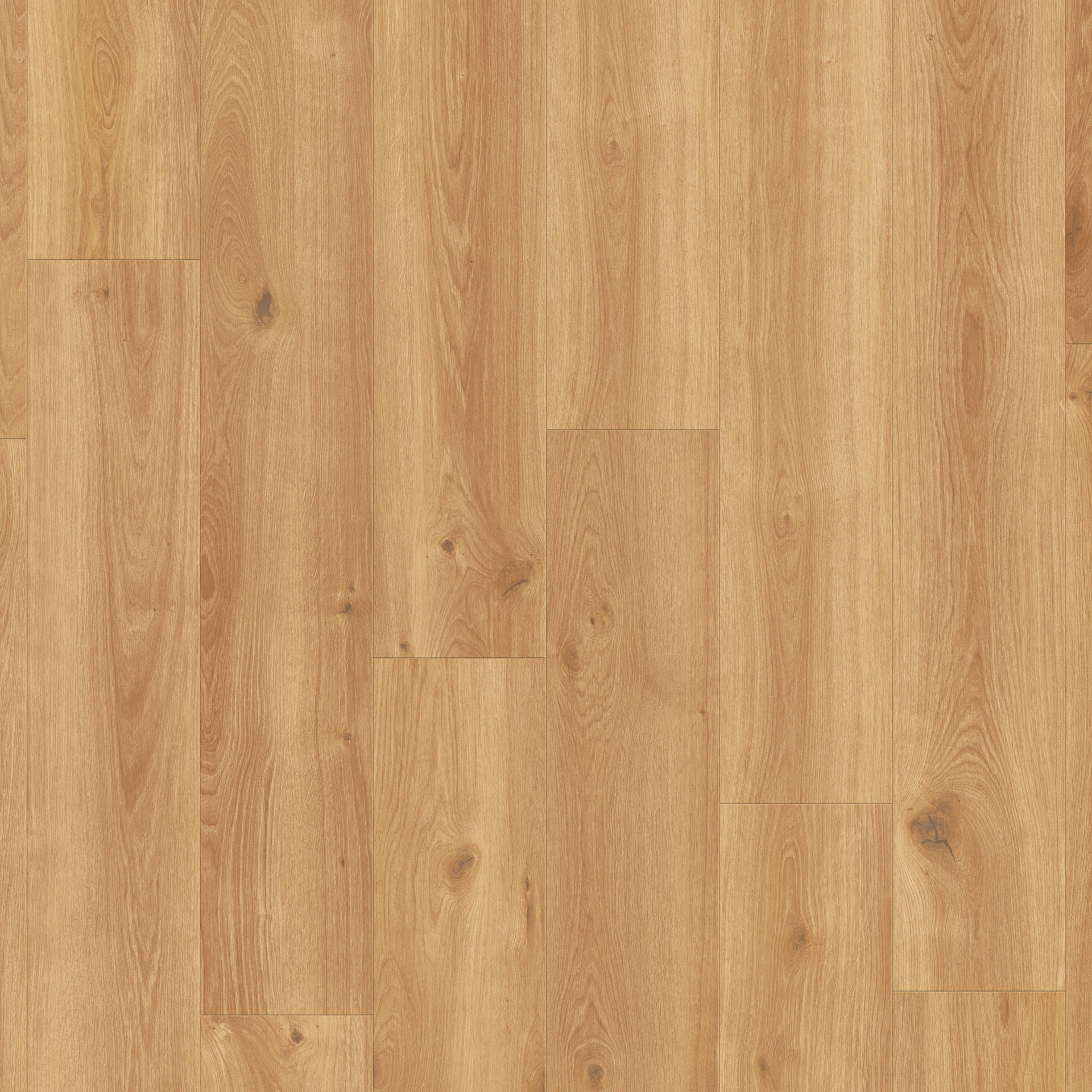 Creek Oak Natural