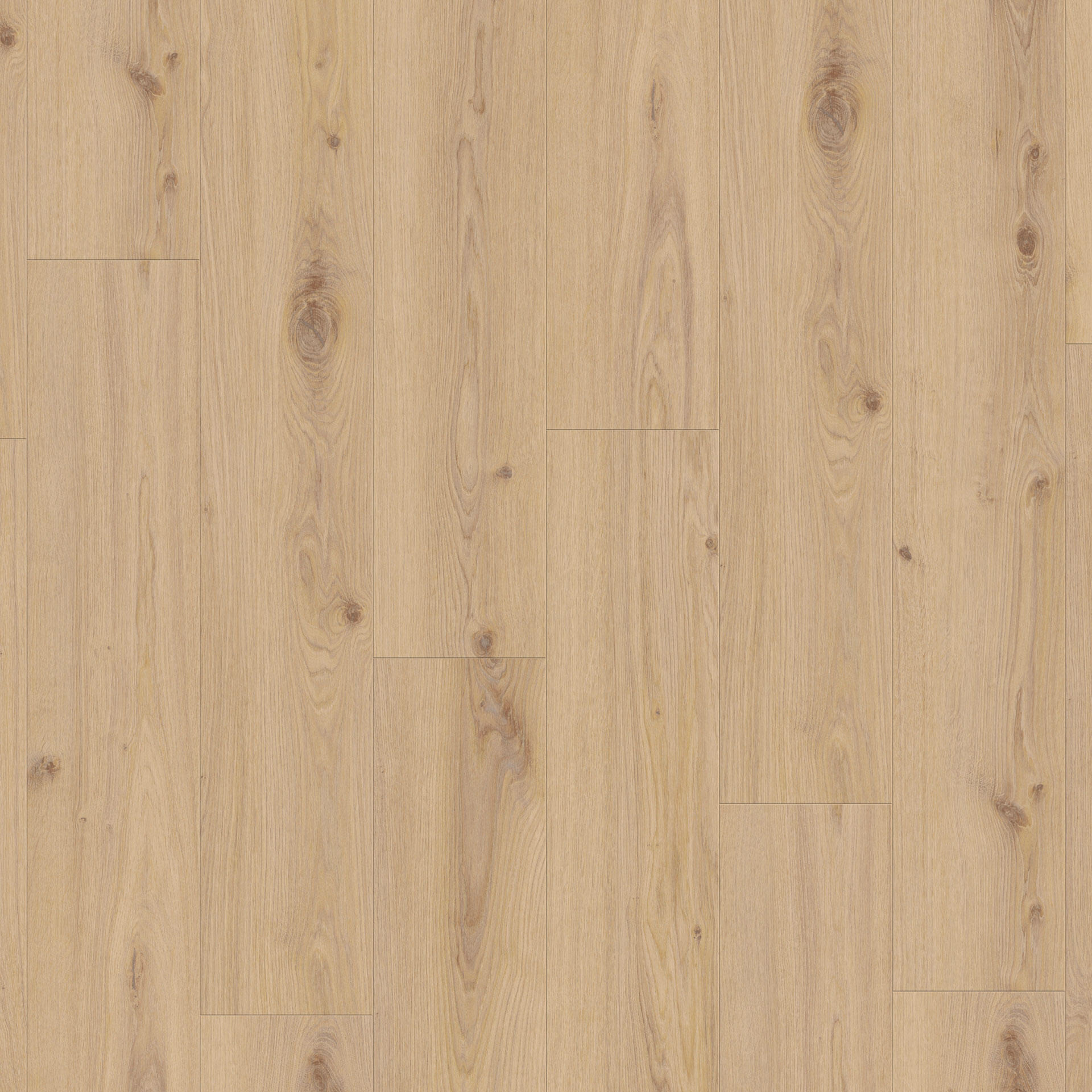 Delicate Oak Almond