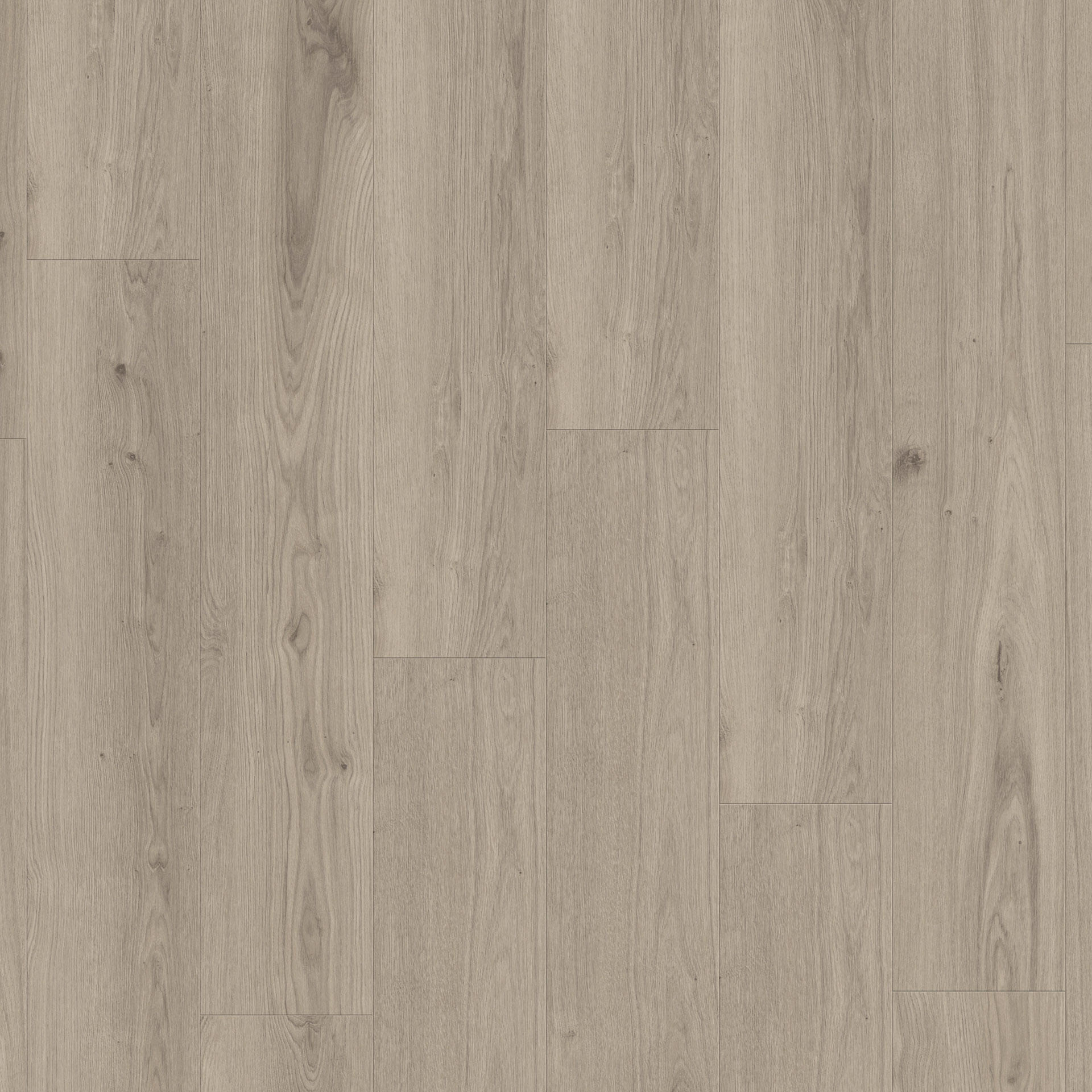 Delicate Oak Clay