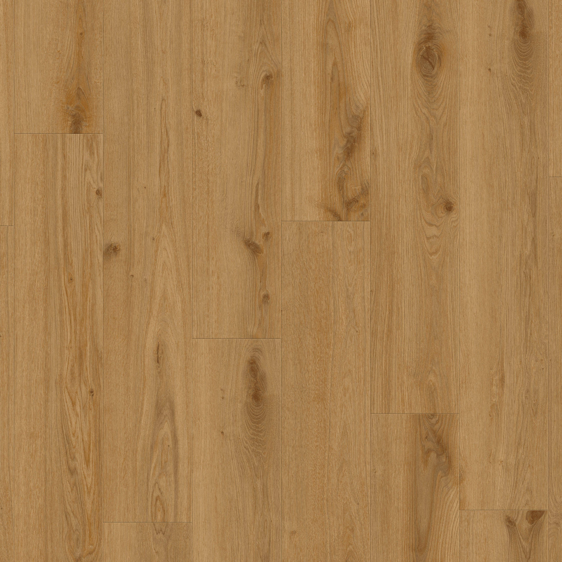 Delicate Oak TOFFEE