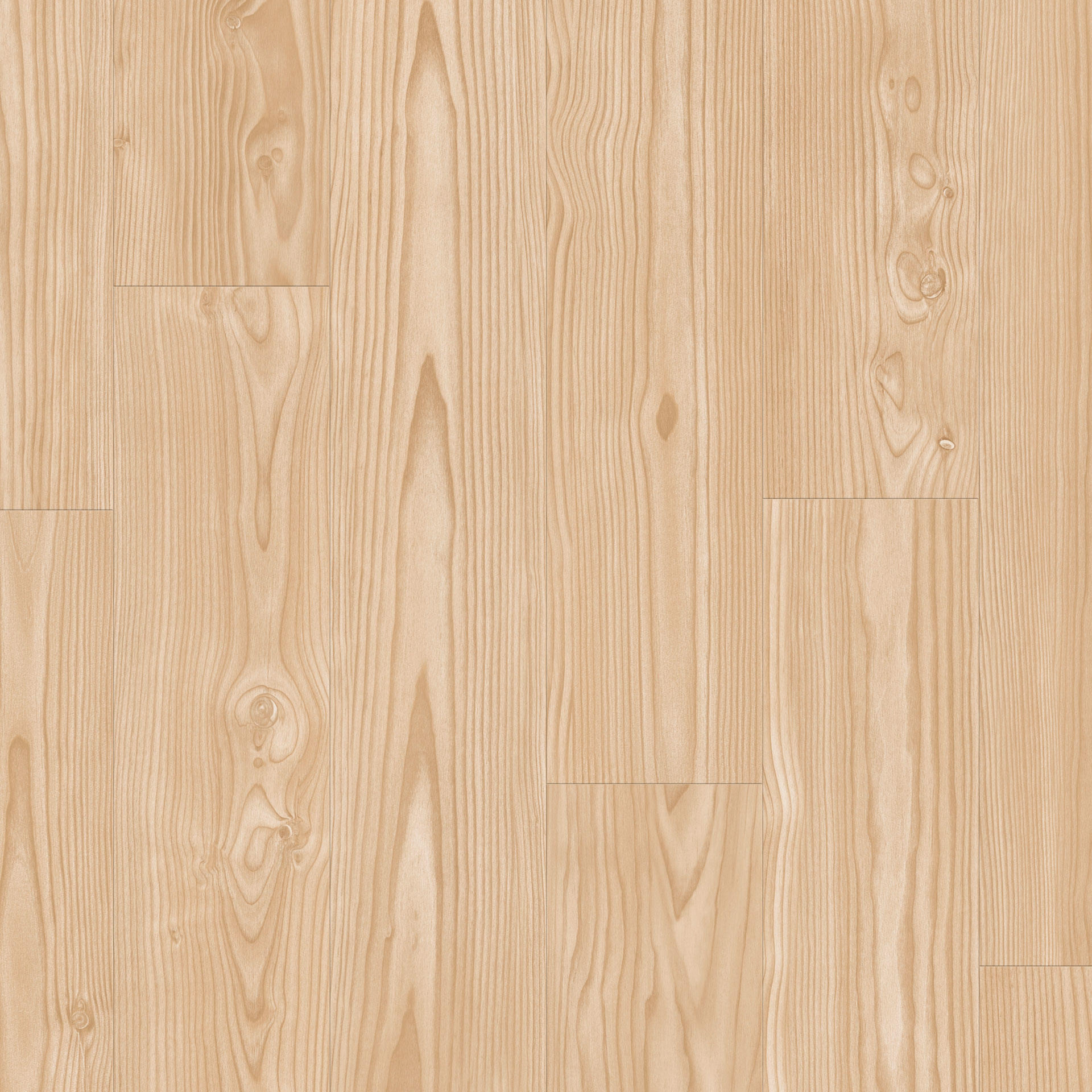 Douglas Pine Creme