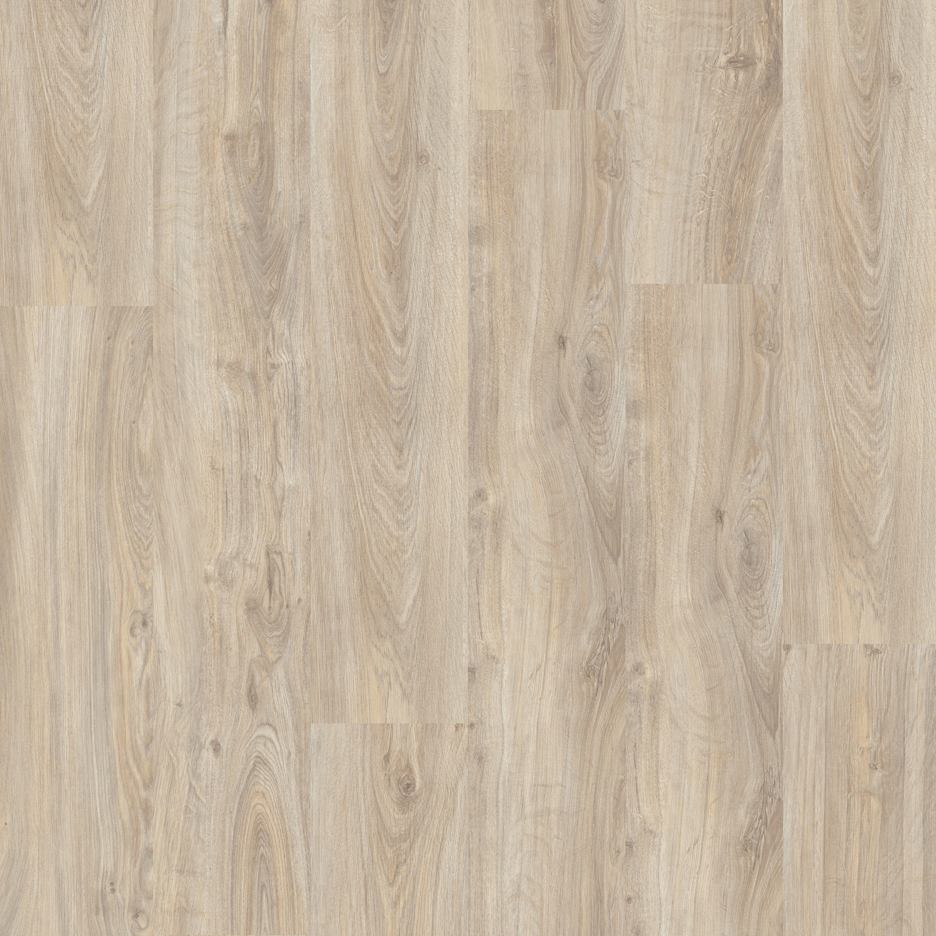 English Oak Grege